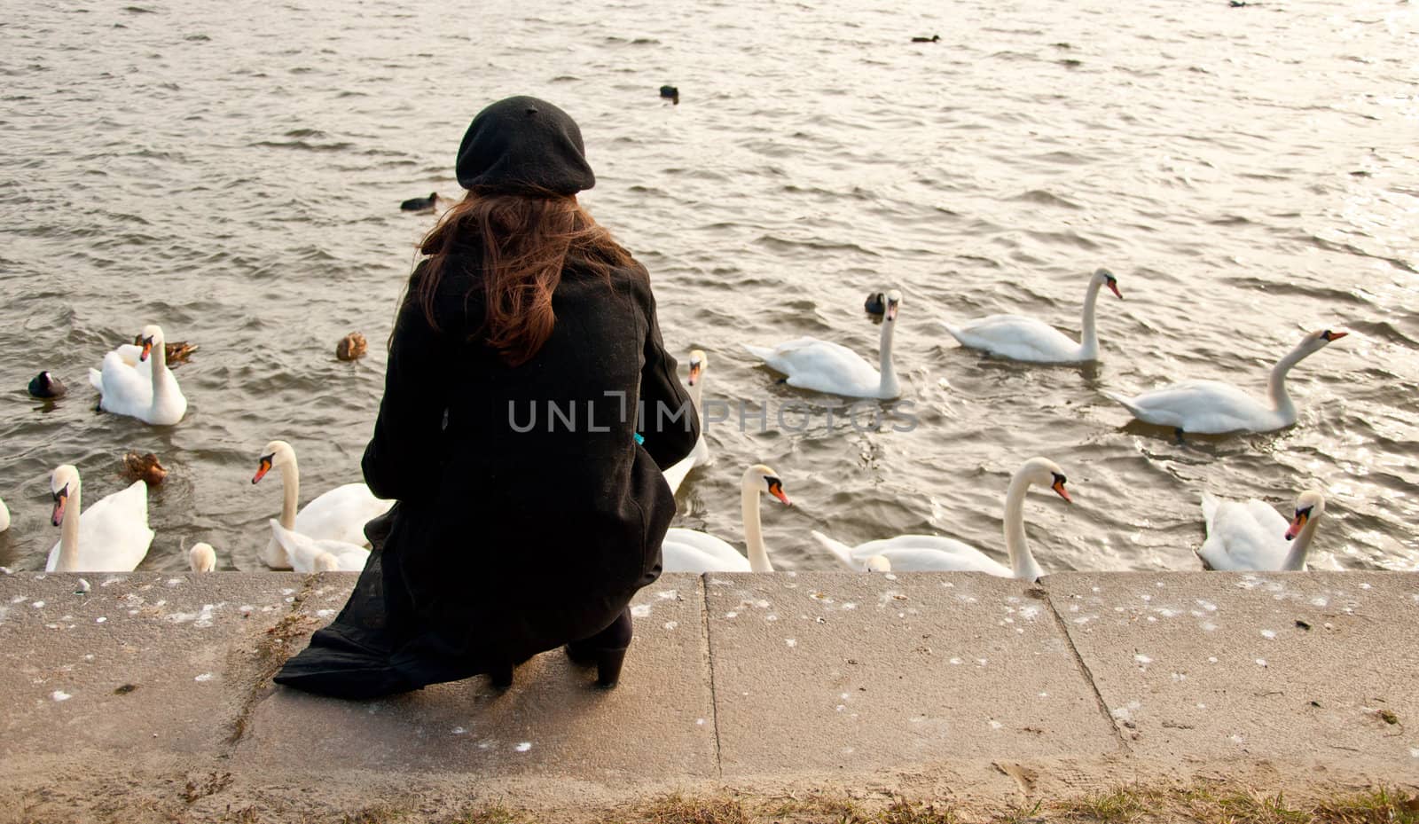 Lonely girl and flock of swans