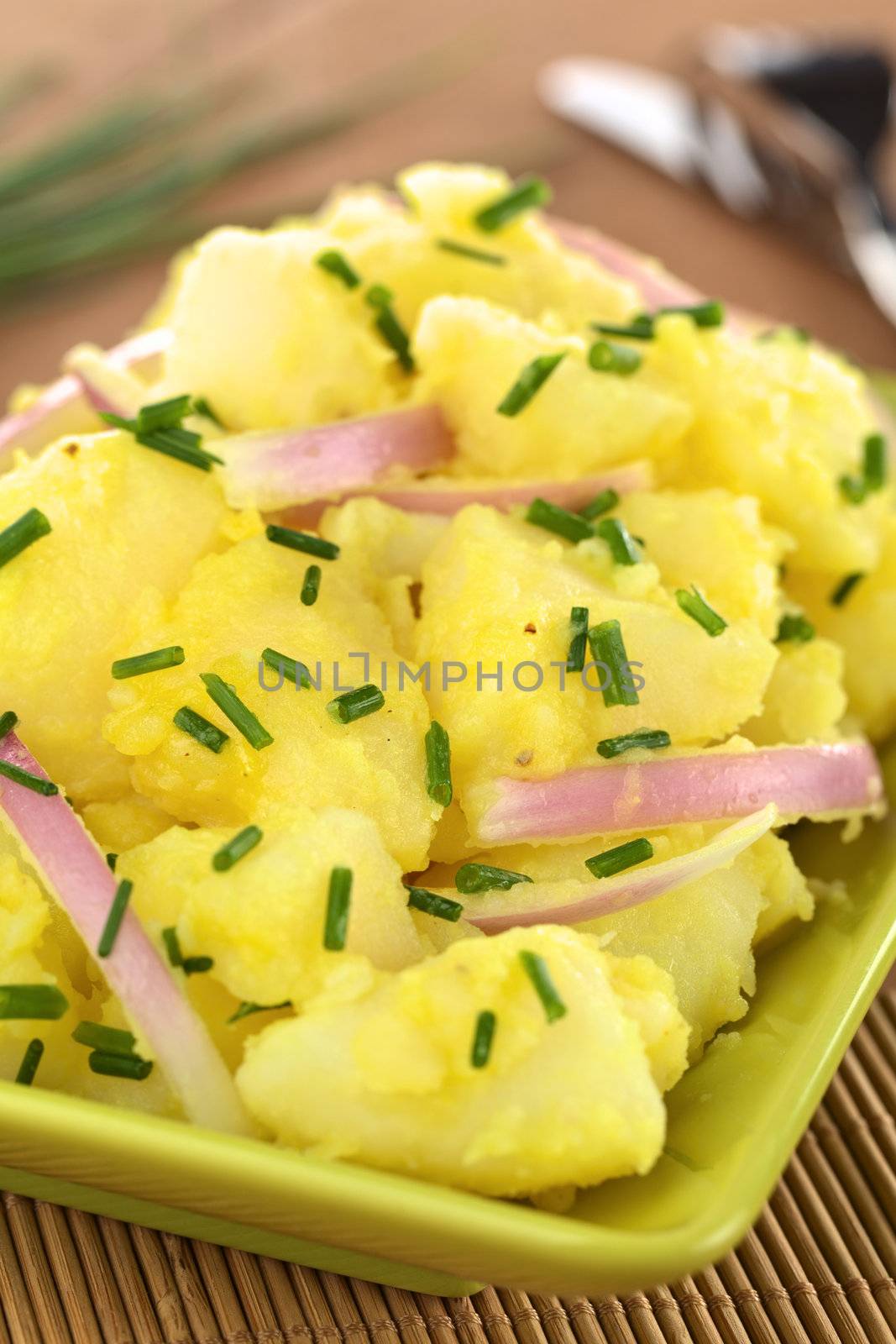 Potato salad with onions prepared in Swabian-Style (Southern Germany) garnished with chives (Selective Focus, Focus on the potato in the middle of the image)