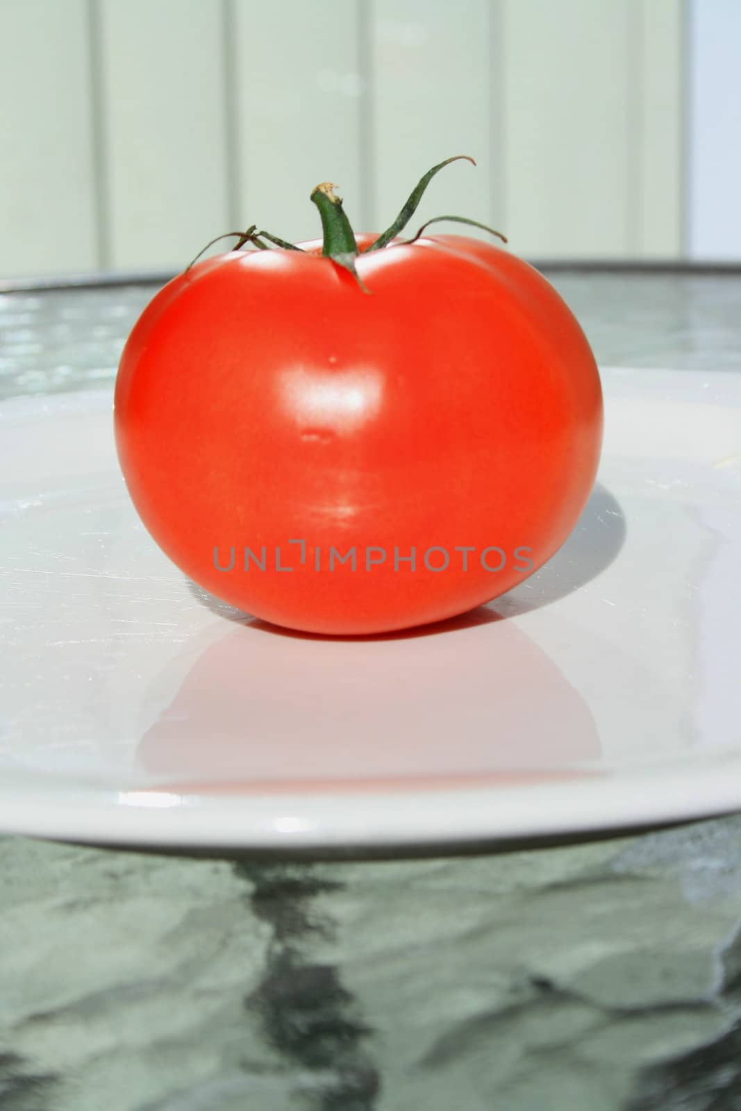 Close up of a red tomato on a plate.
