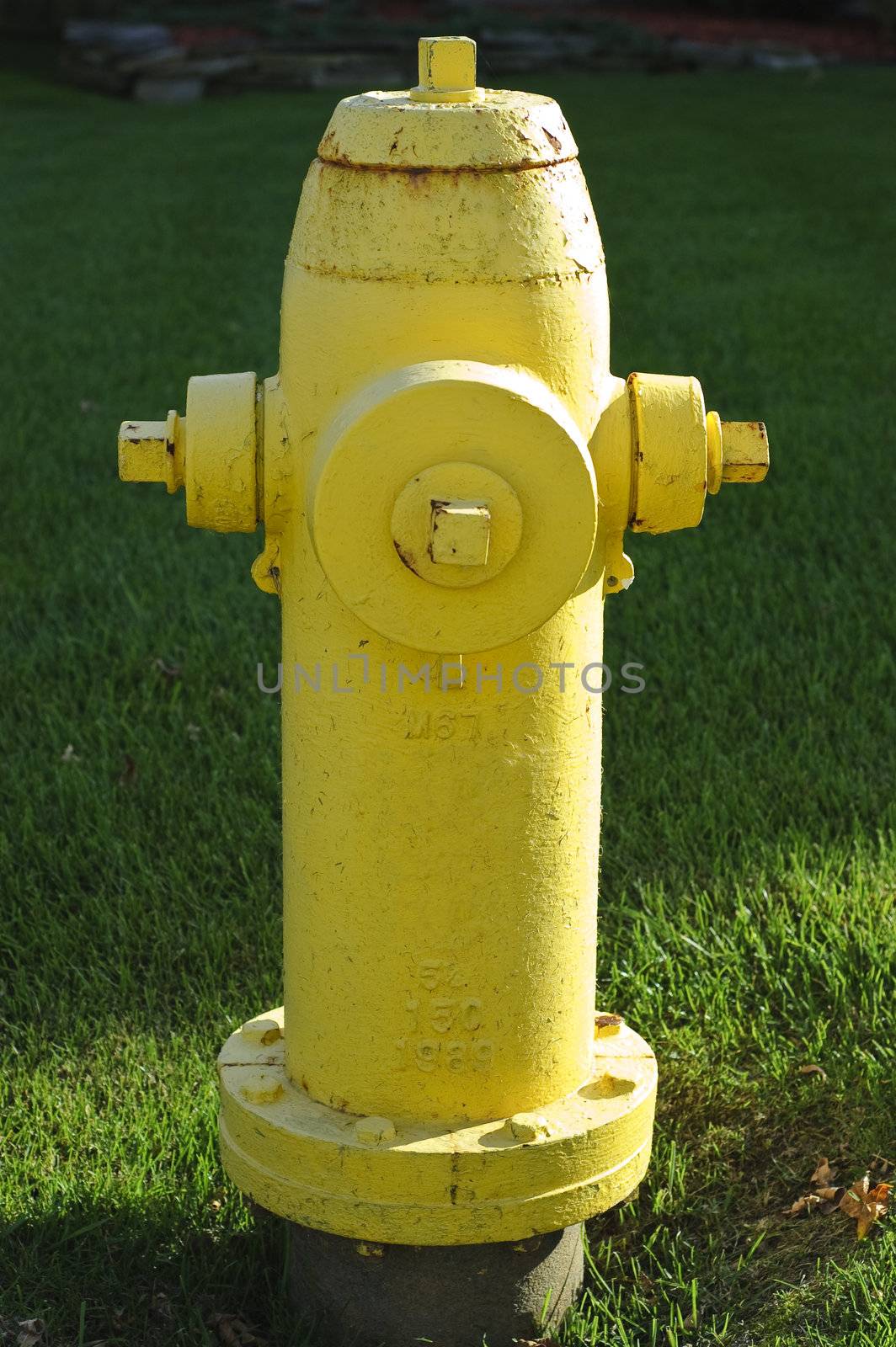 Yellow fire hydrant in public lawn