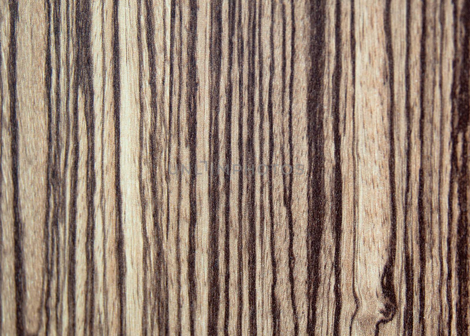 tree wood textured background with vertical stripes