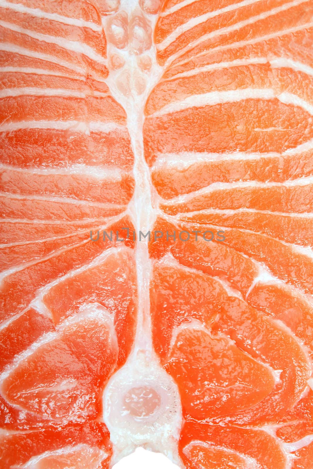 Healthy eating seafood - red raw salmon fish food