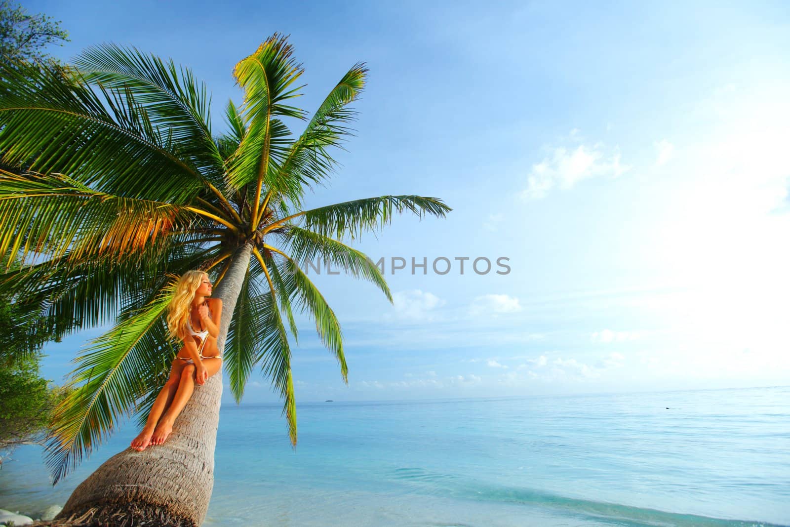 woman on palm sea on backgroud