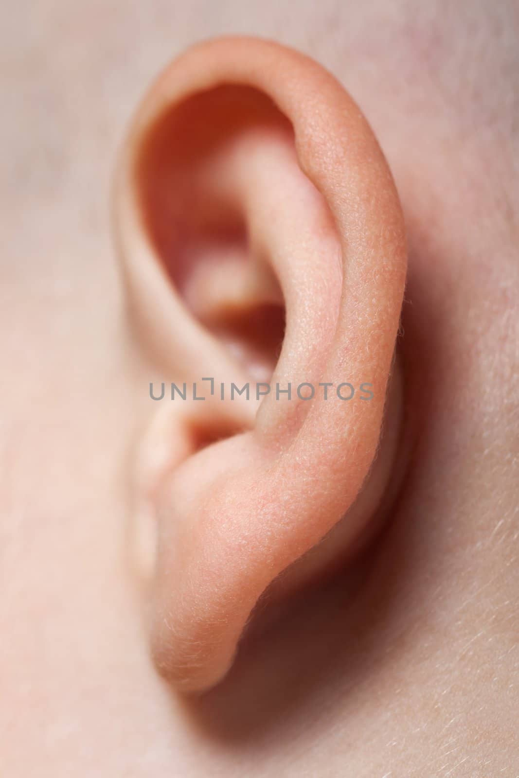 Ear macro by ia_64