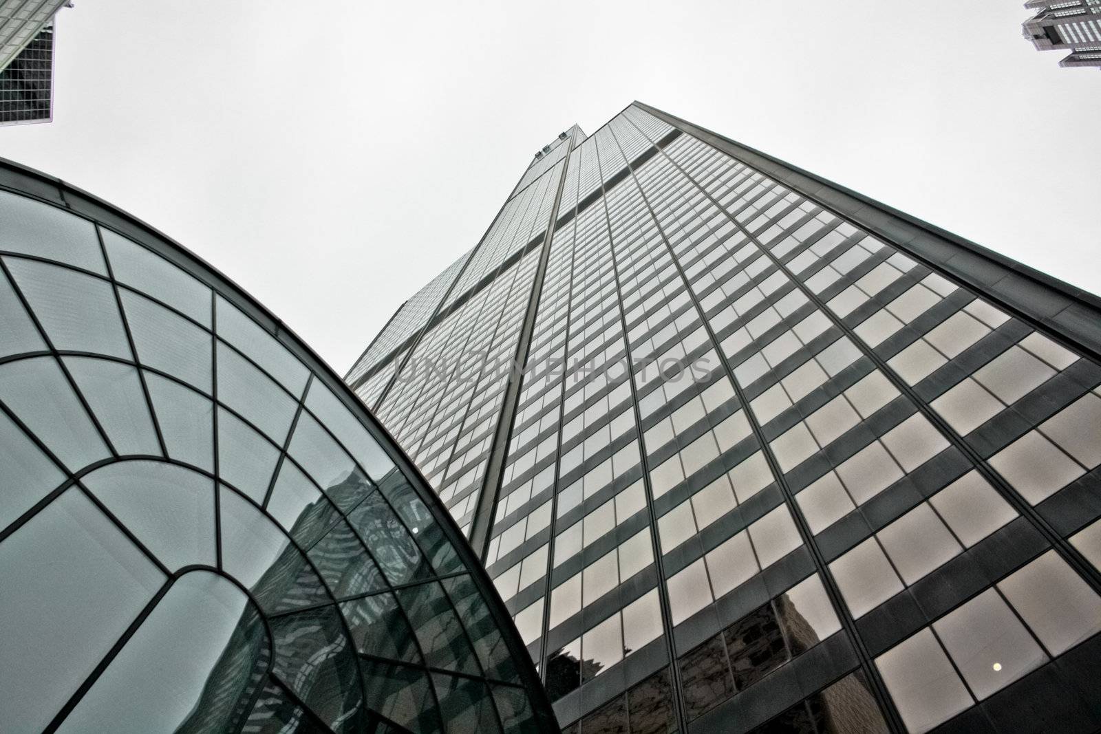 Willis Tower reaching for the sky by derejeb