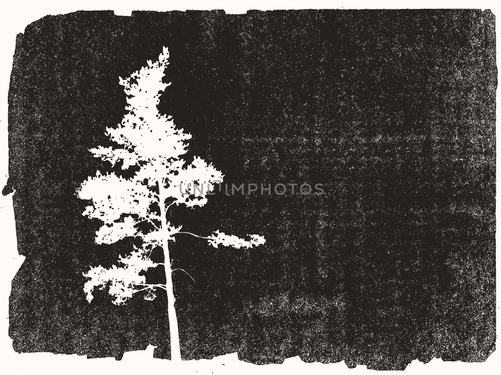 pine silhouette on grunge background