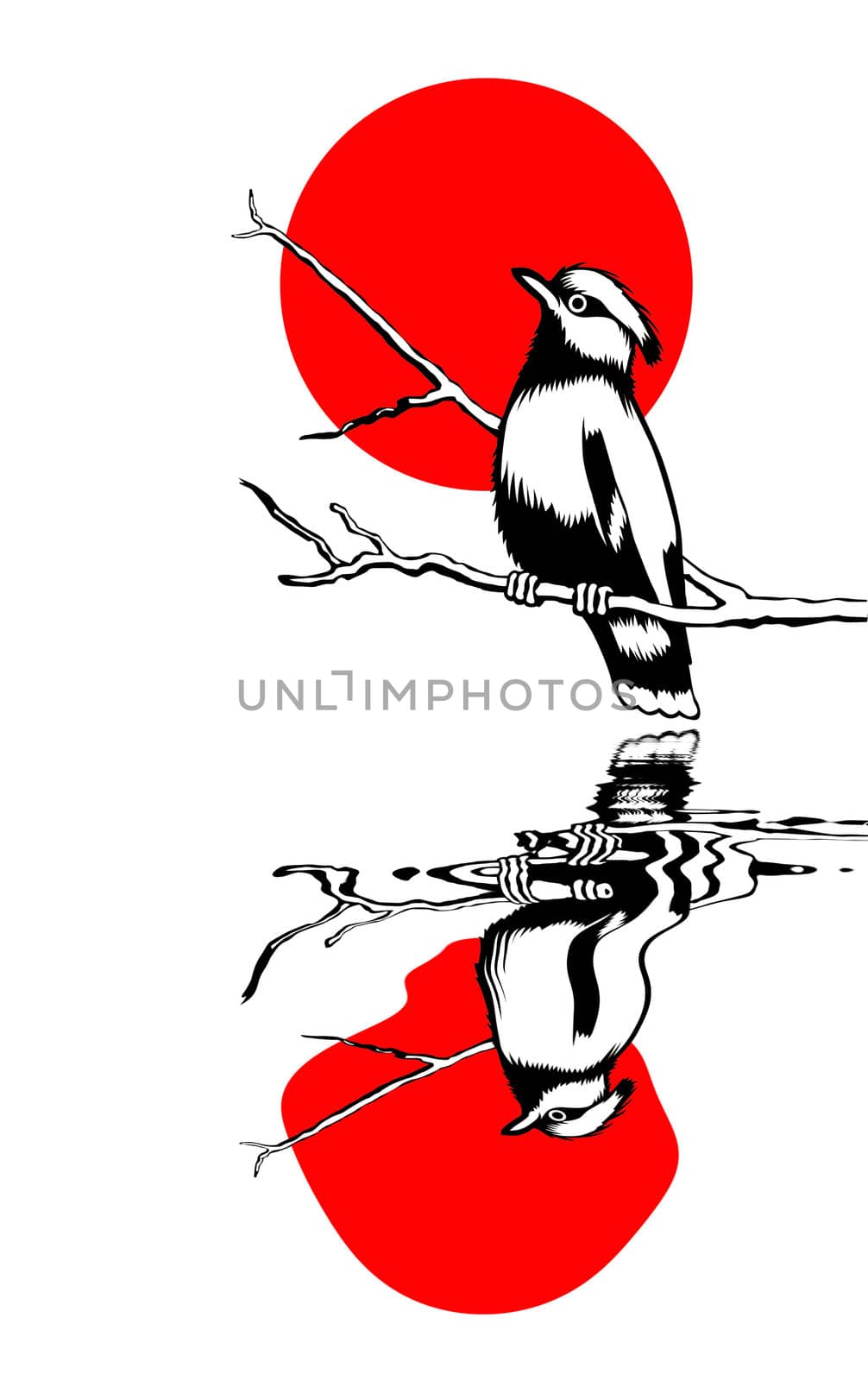 bird on branch silhouette on solar background
