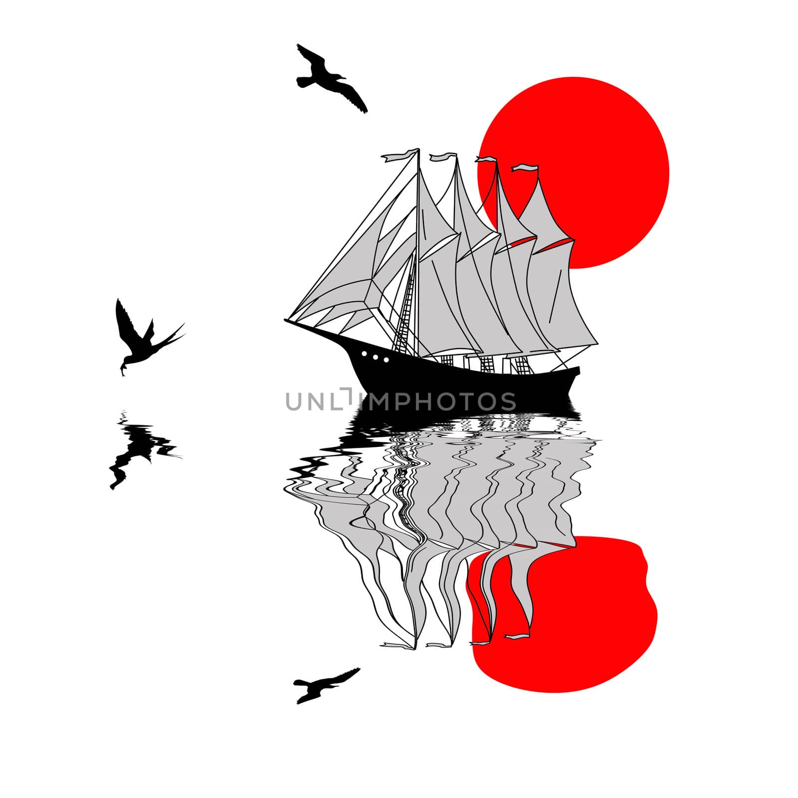sailfish silhouette on white background