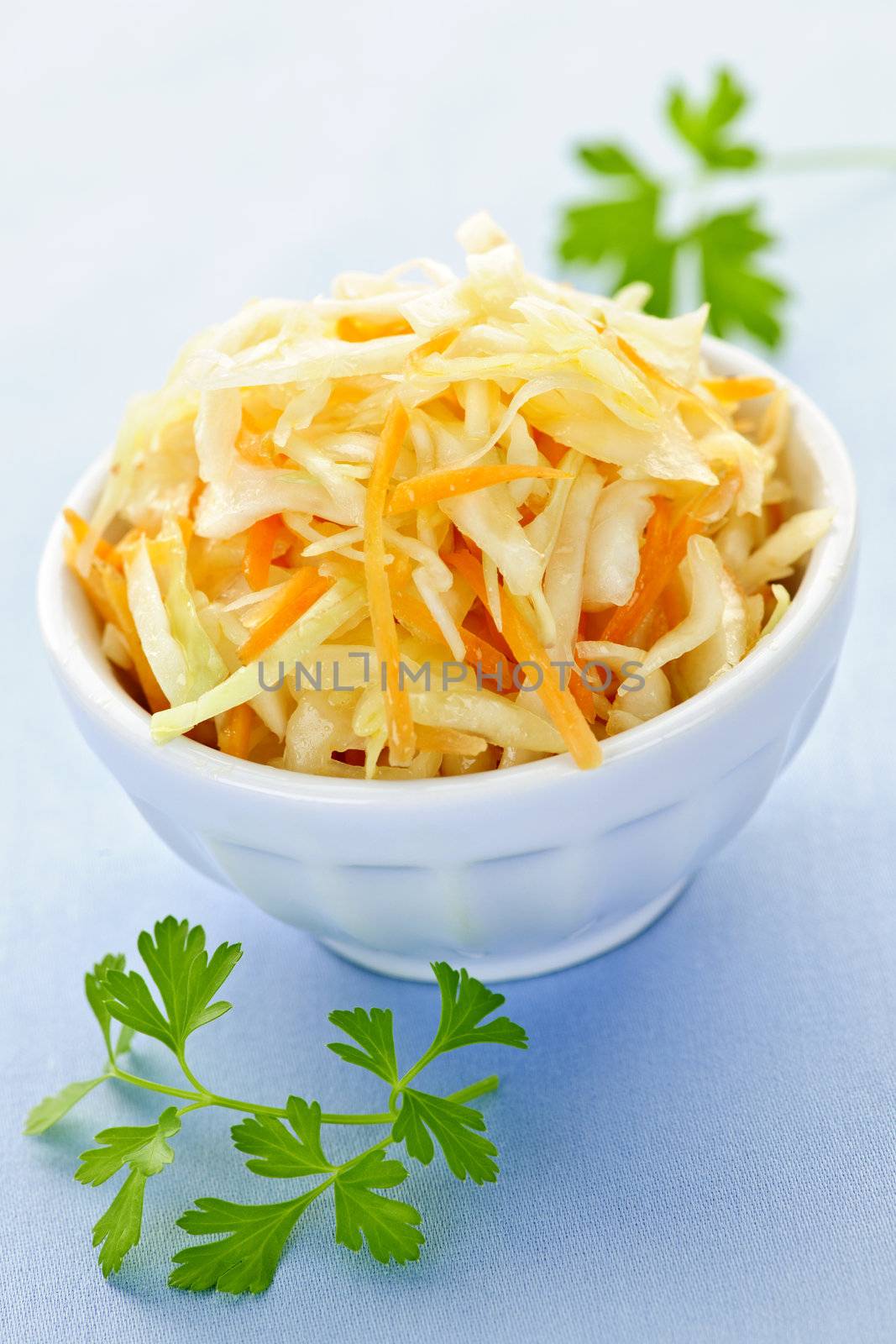 Bowl of fresh coleslaw with shredded cabbage