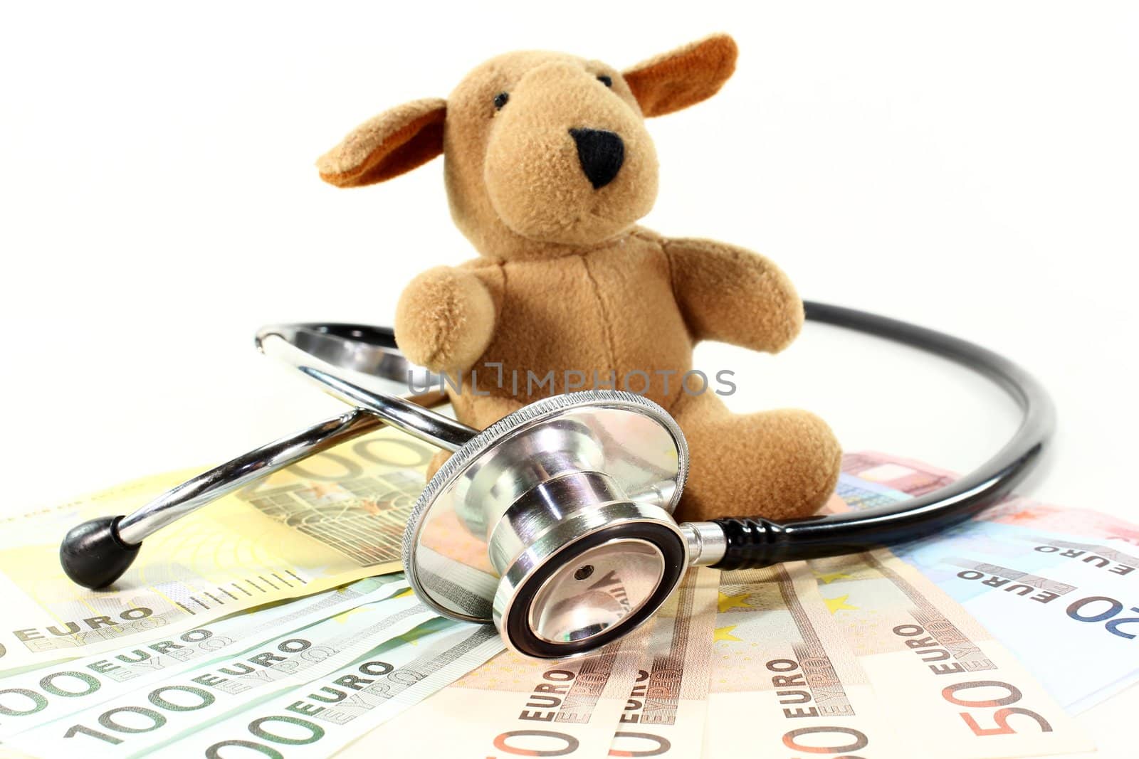 a stuffed dog with a stethoscope and Euros