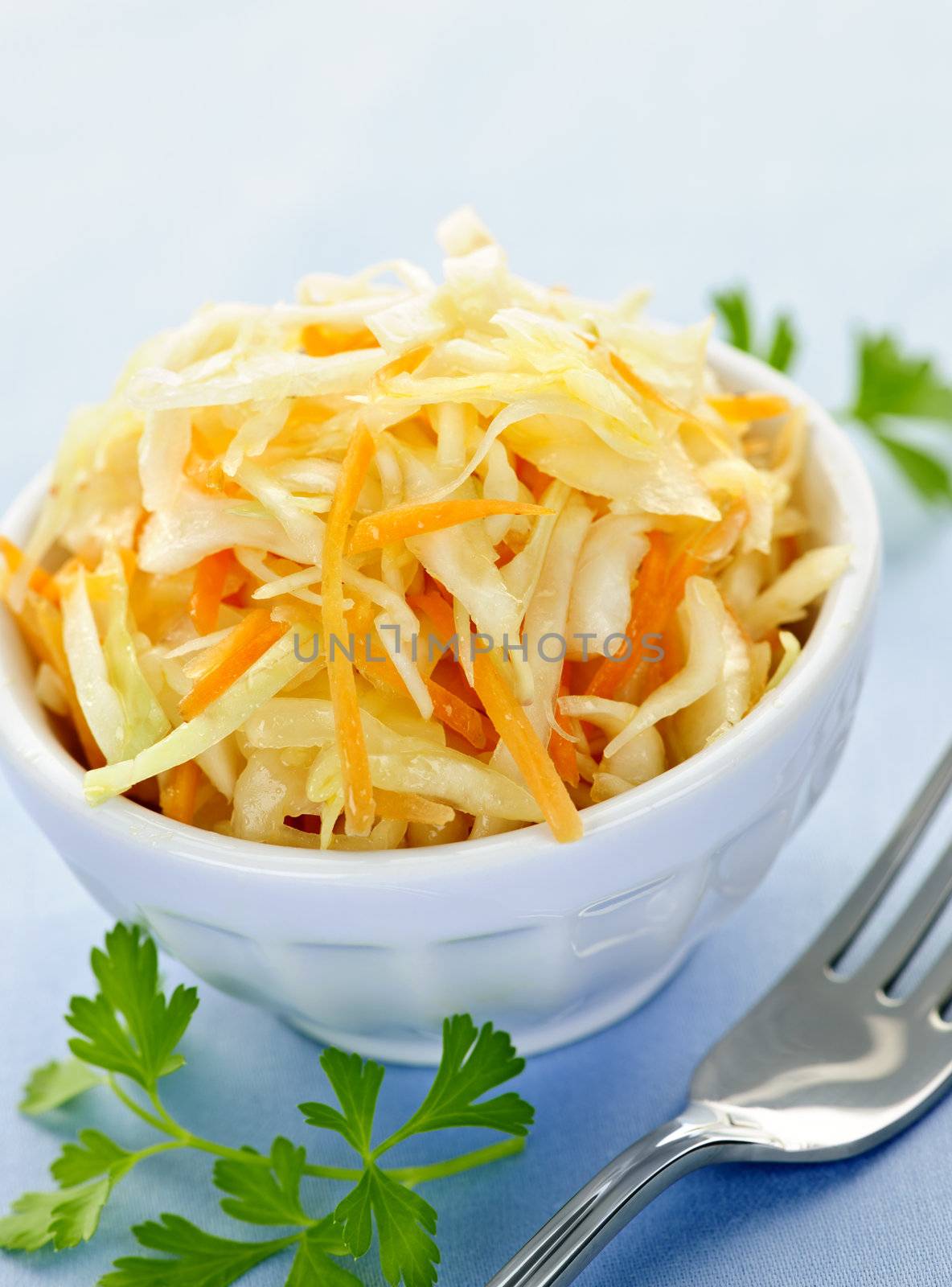 Bowl of fresh coleslaw with shredded cabbage