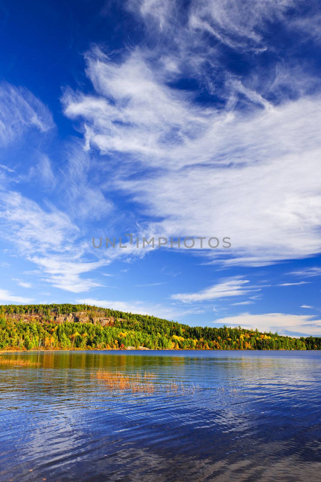 Autumn forest and lake with dramatic sky in Algonquin Park, Canada