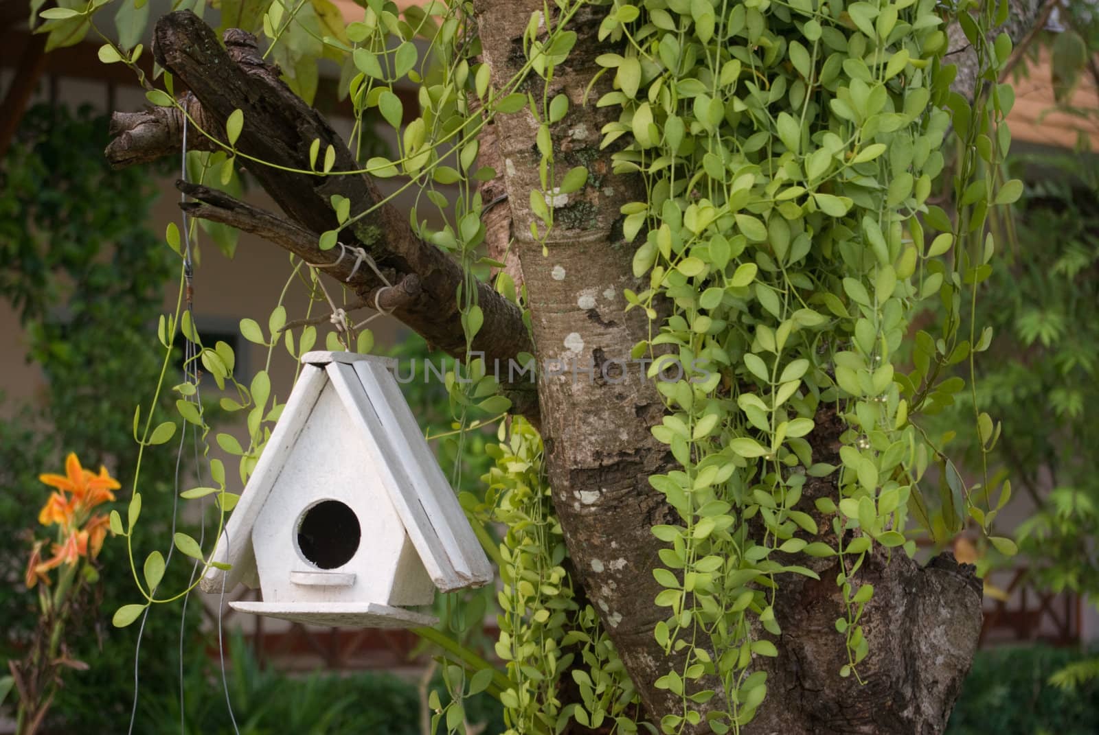 Bird house hanging on tree in the garden