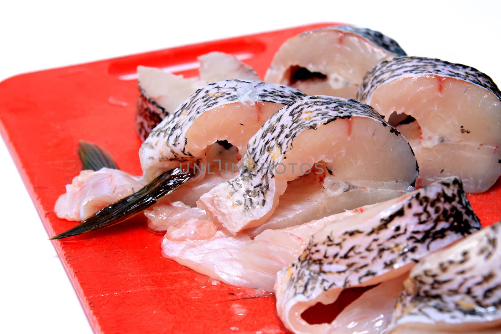 cut fish on white background