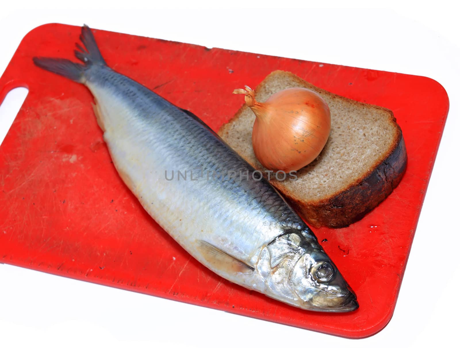 salty herring on white background