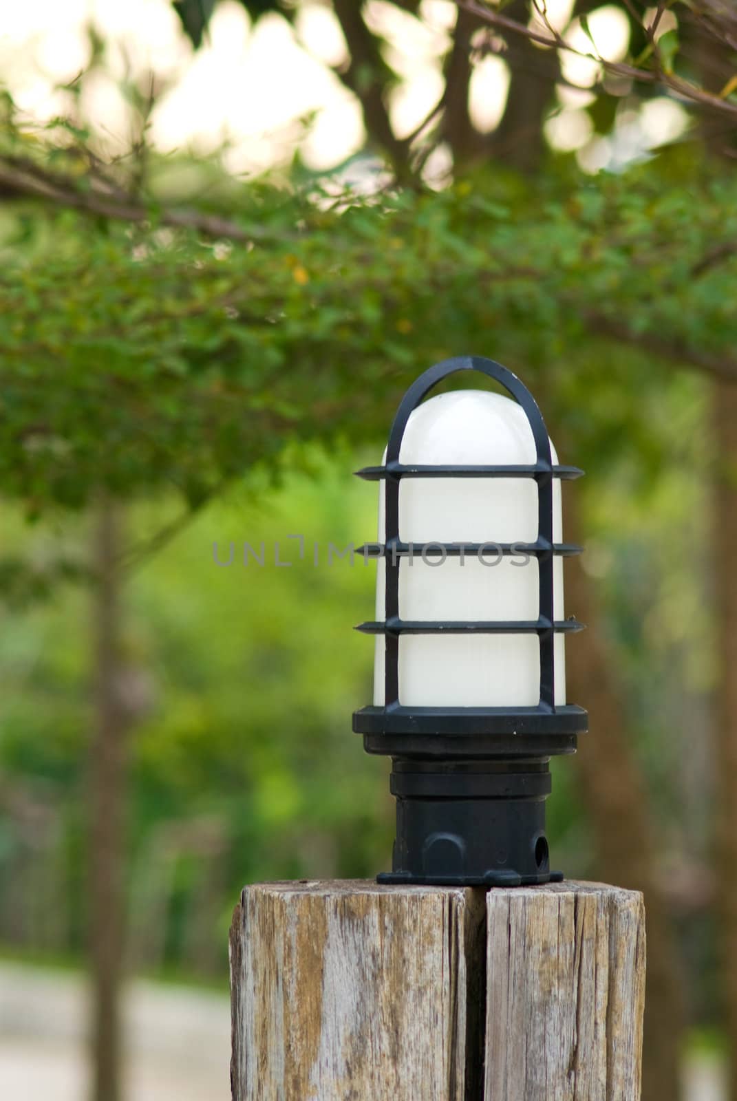 Light bulb in the garden, Outdoor lamp