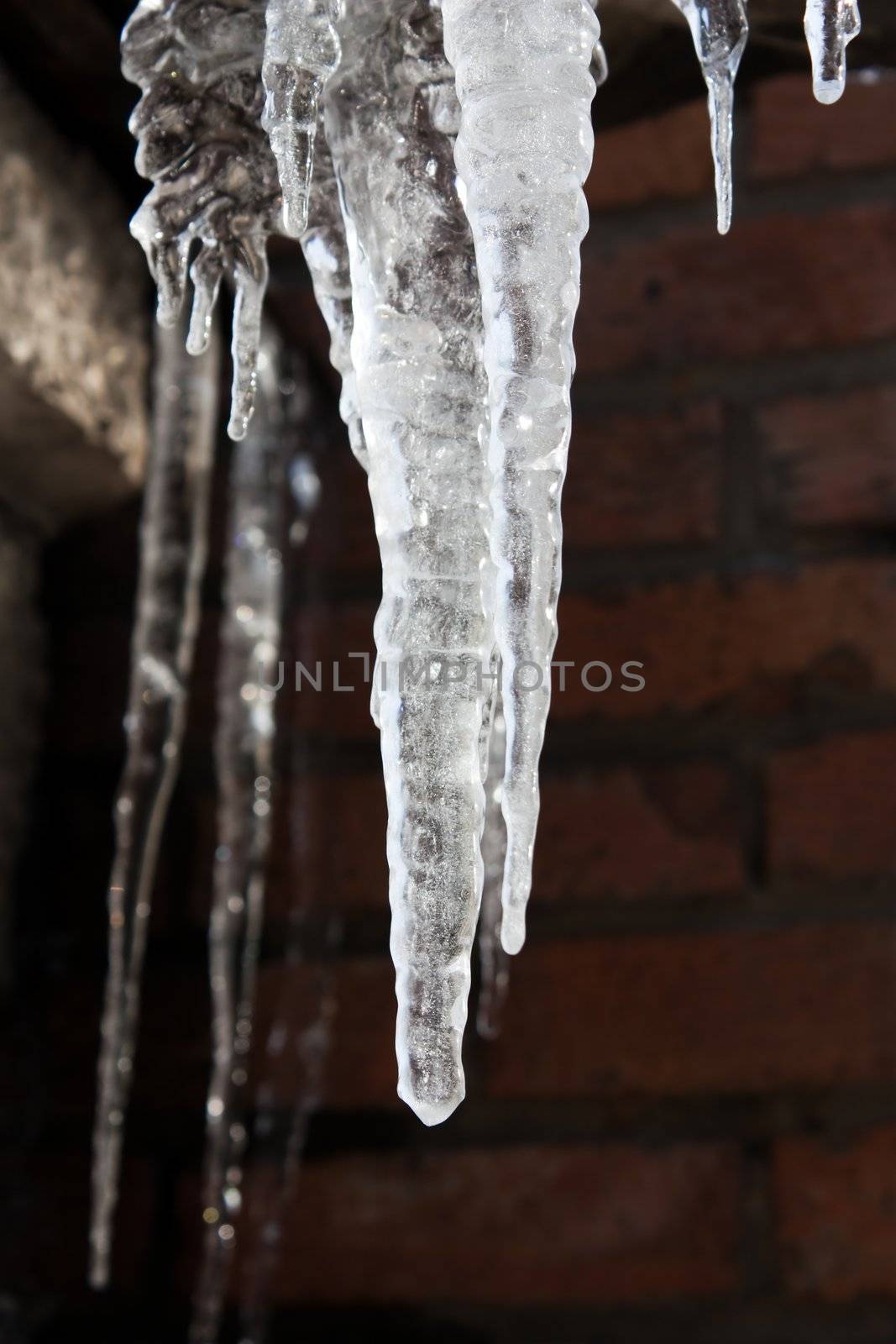 Cold snow winter frozen ice melting icicle on wall