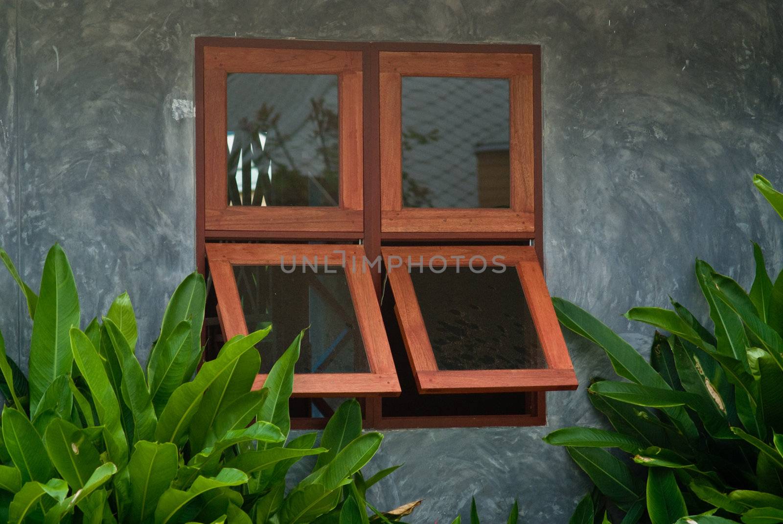 Wooden window frame on concret wall with plants