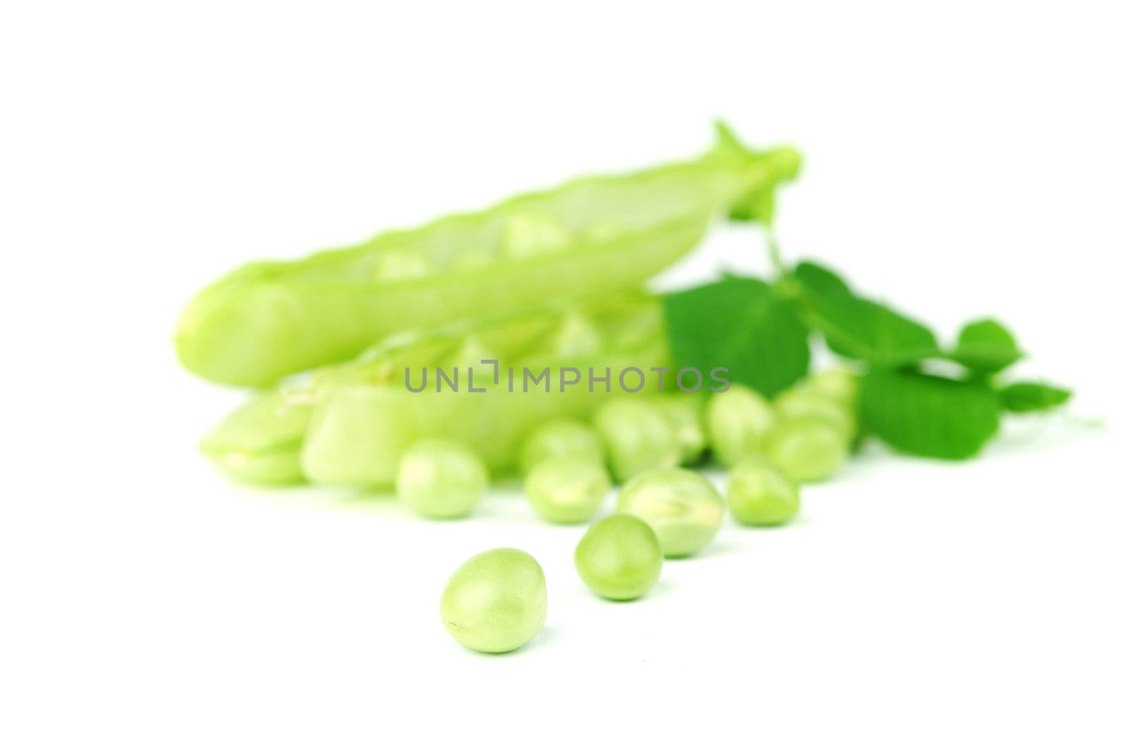 Pea and leaf isolated on white