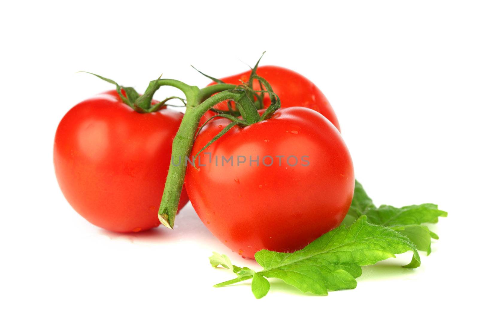 tomatoes isolated on white