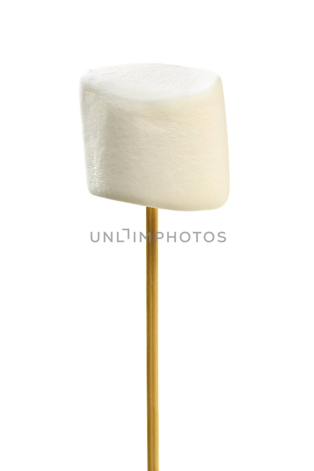 Marshmallow on skewer by elenathewise