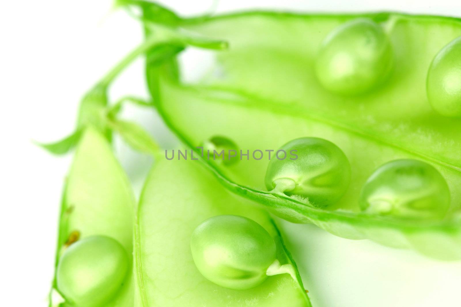  Pea isolated on white close up
