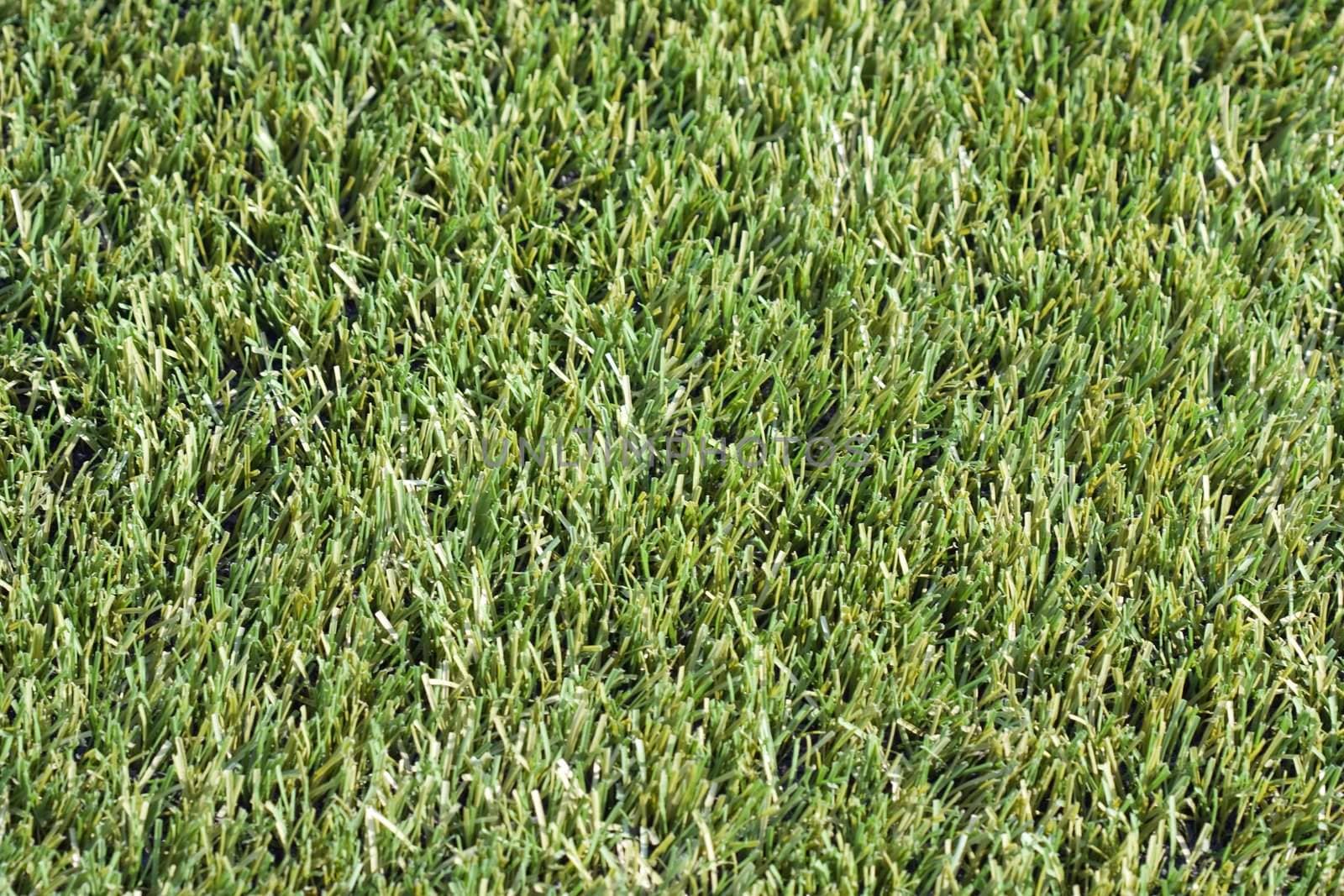 Playing soccer sport green grass field background