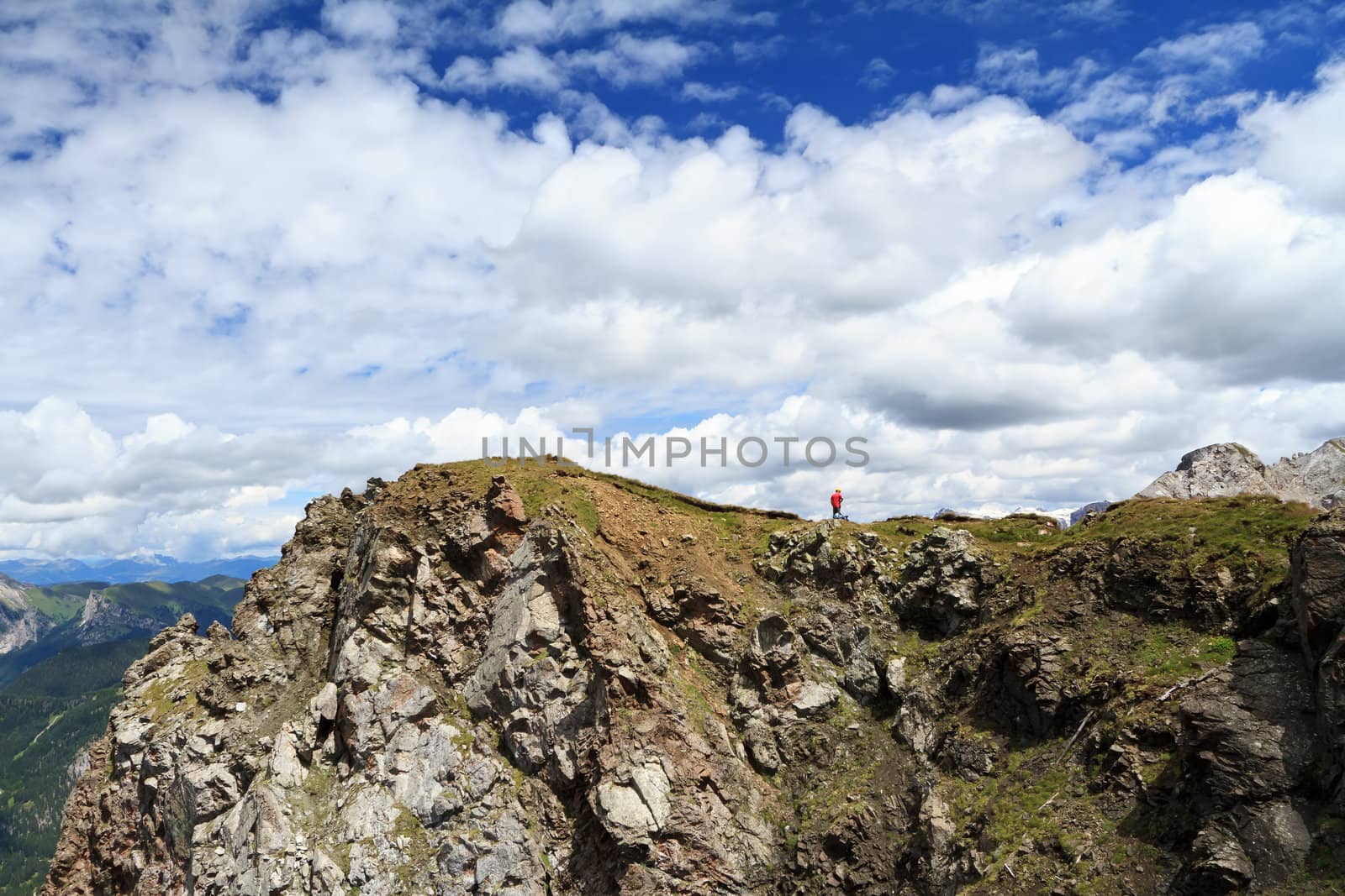 summer view of Monzoni ridge, Italian Dolomites