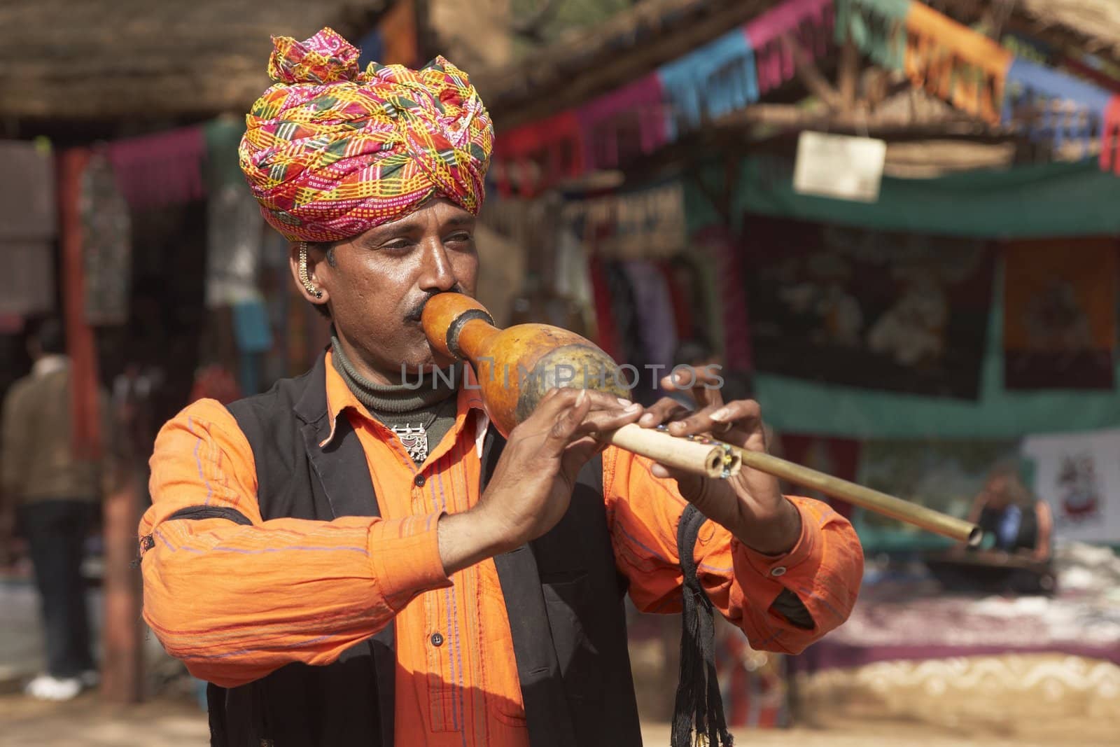 Tribal musician at the Sarujkund Fair, Delhi, India