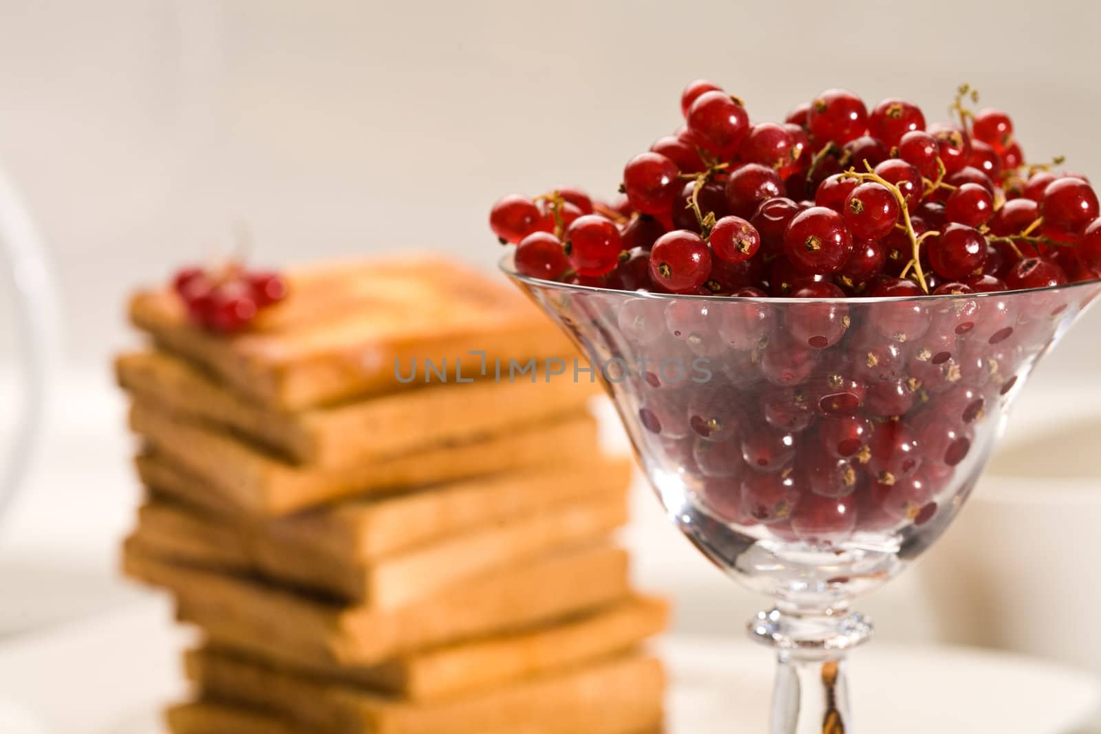 red currant by agg