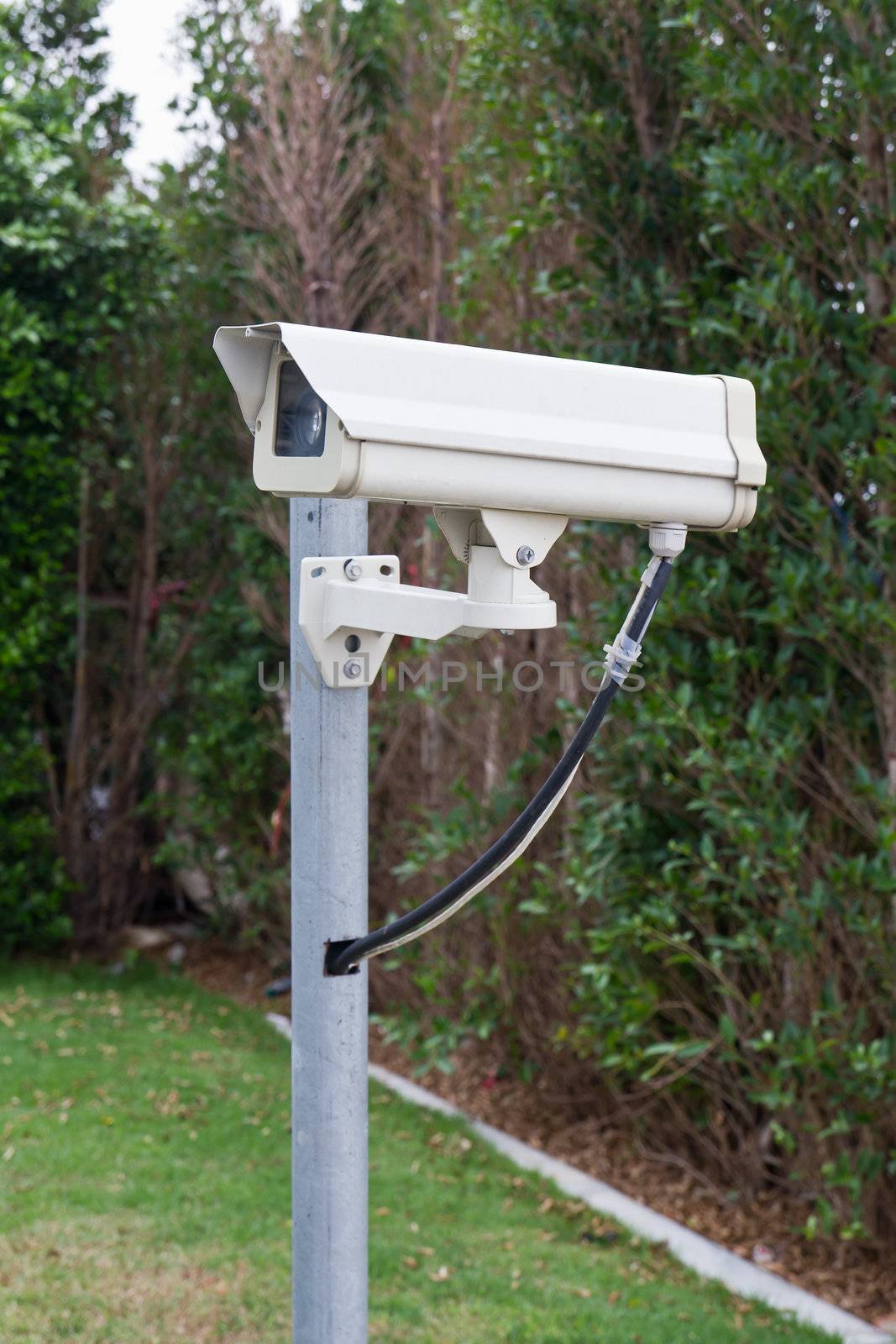 CCTV camera against in park