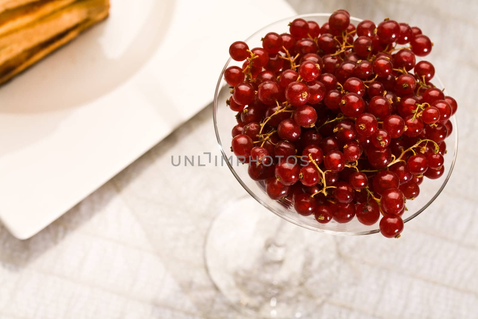 food series: toasts and red currant on the white plate