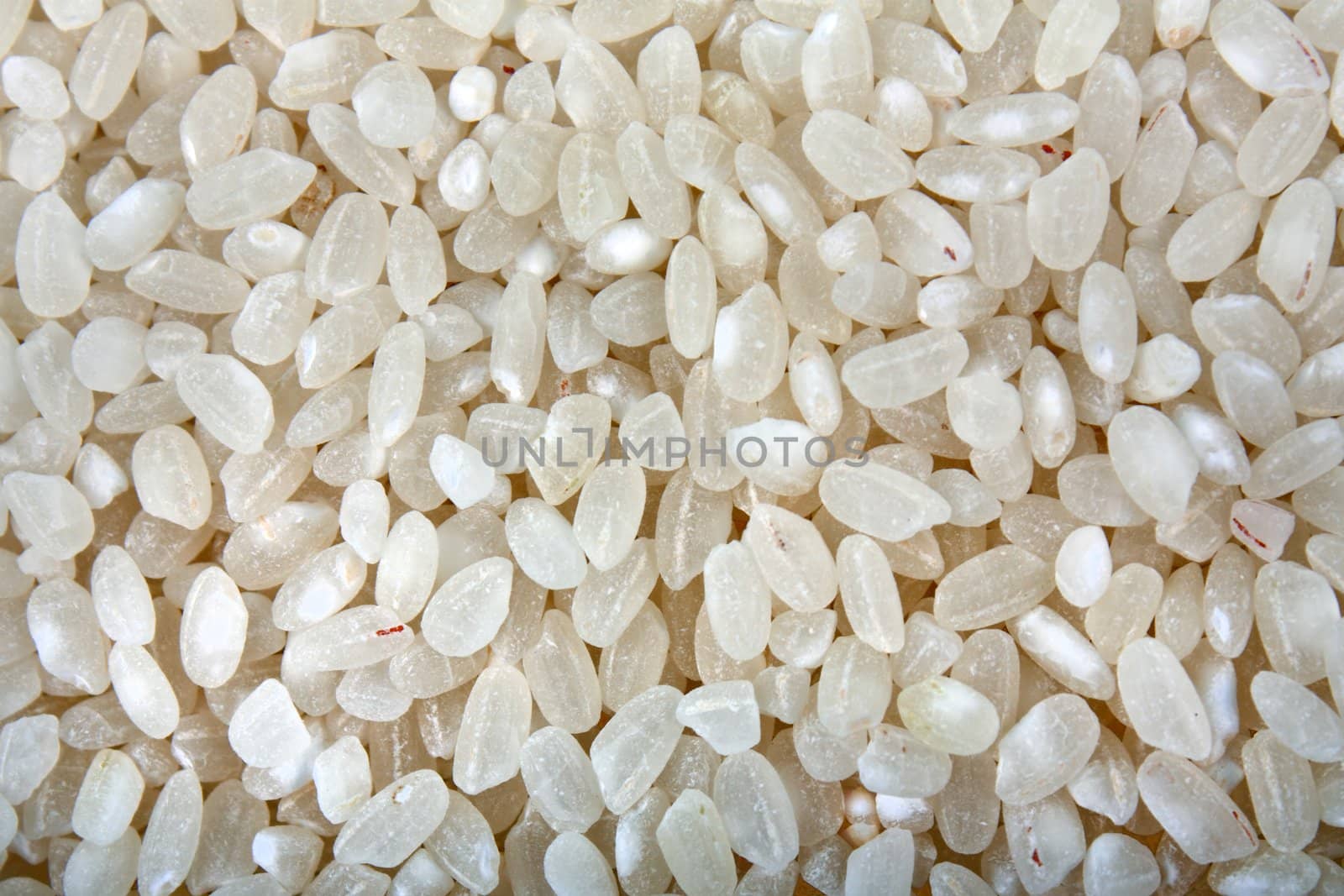 Healthy eating cereal food - raw white asian rice