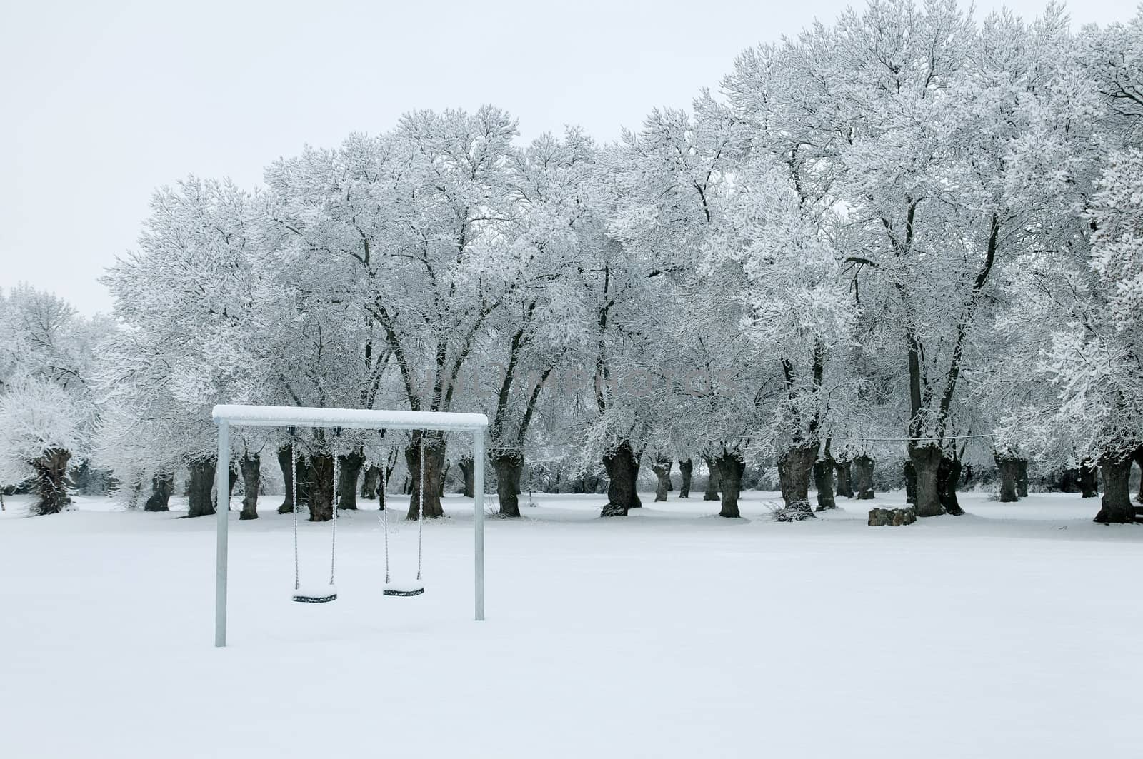 winter landscape of snowy forest