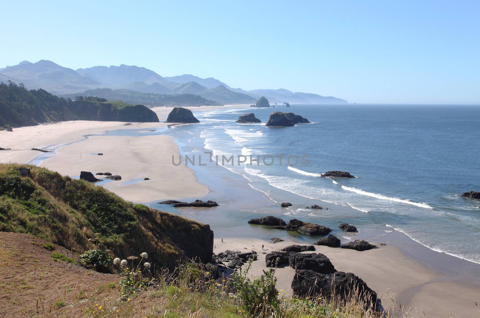 Oregon coast pacific northwest cliffs &amp; beaches. by Rigucci