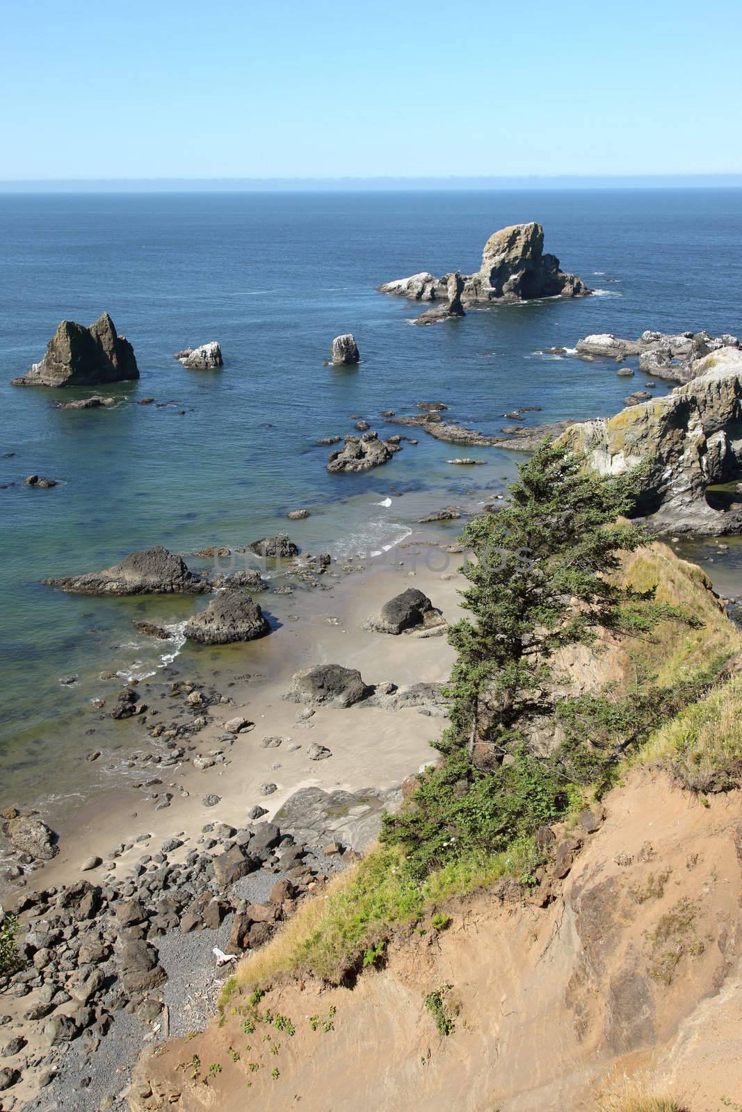 A sanctuary for aquatic species and birds on the Oregon coast.