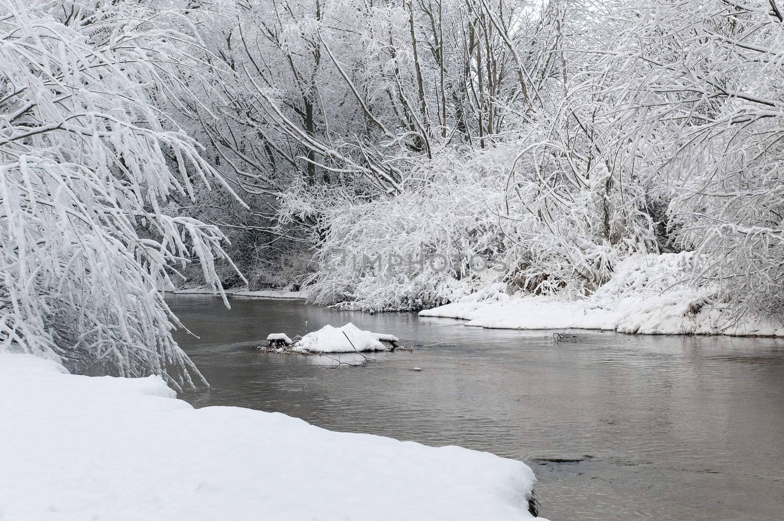 winter landscape of snowy forest