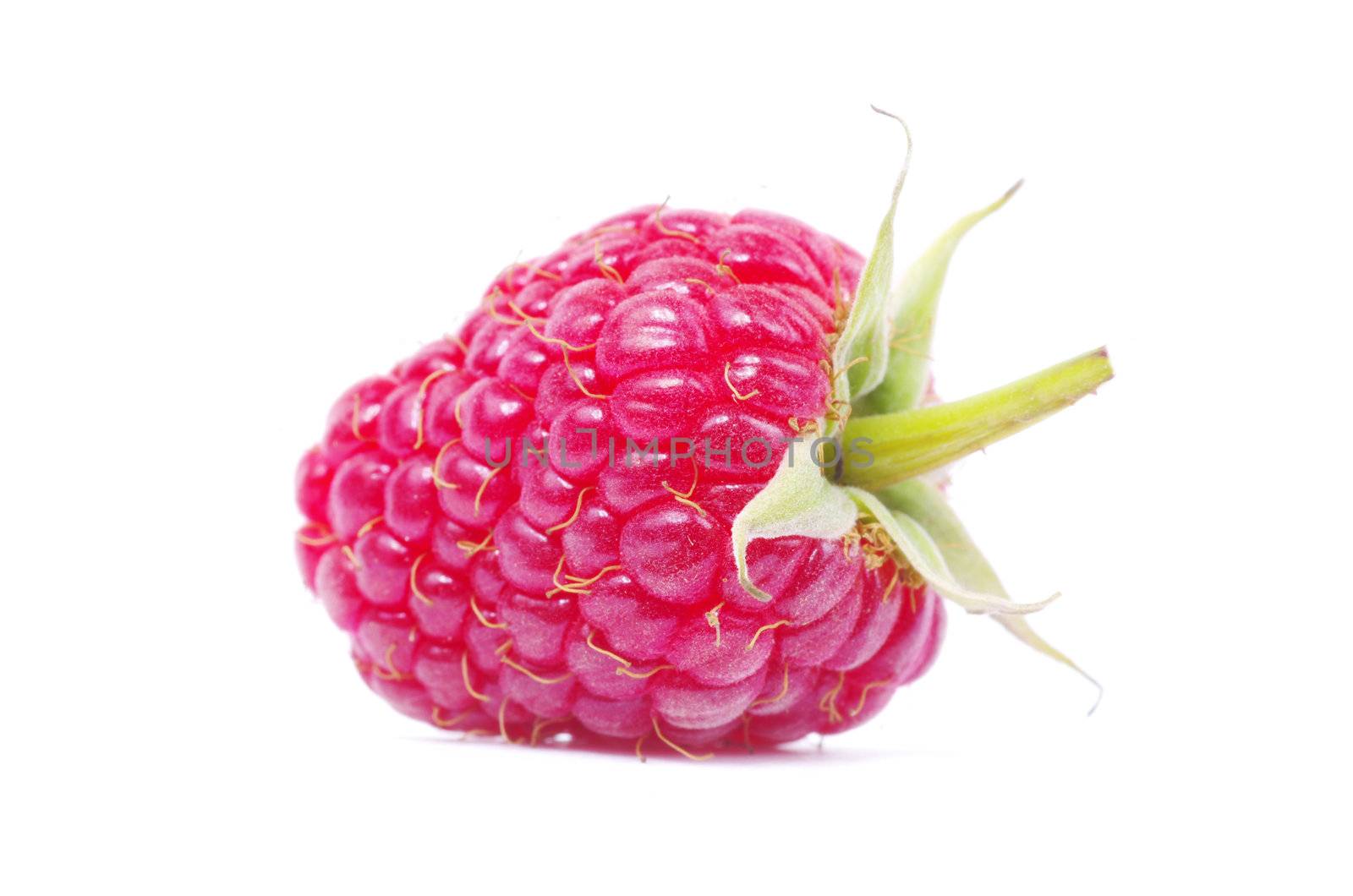 fresh raspberry closeup isolated on white background