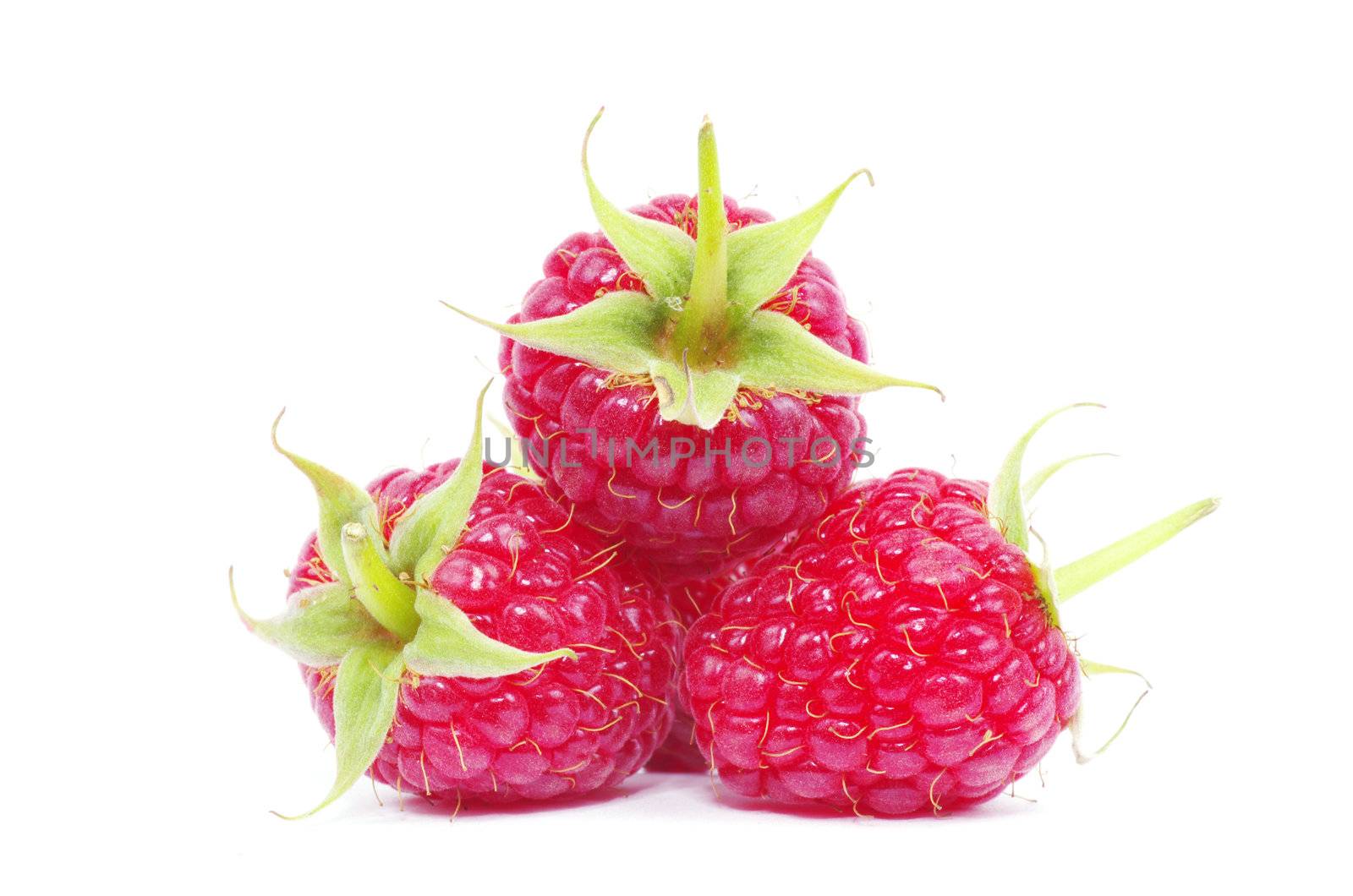 fresh raspberry closeup isolated on white background