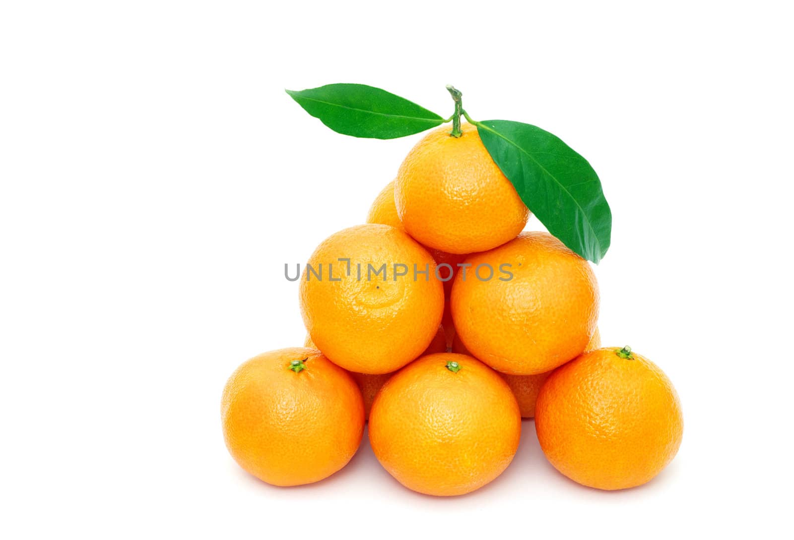  tangerine isolated on a white background