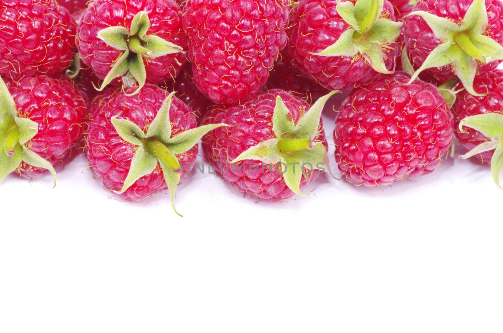 fresh raspberry closeup isolated on white background