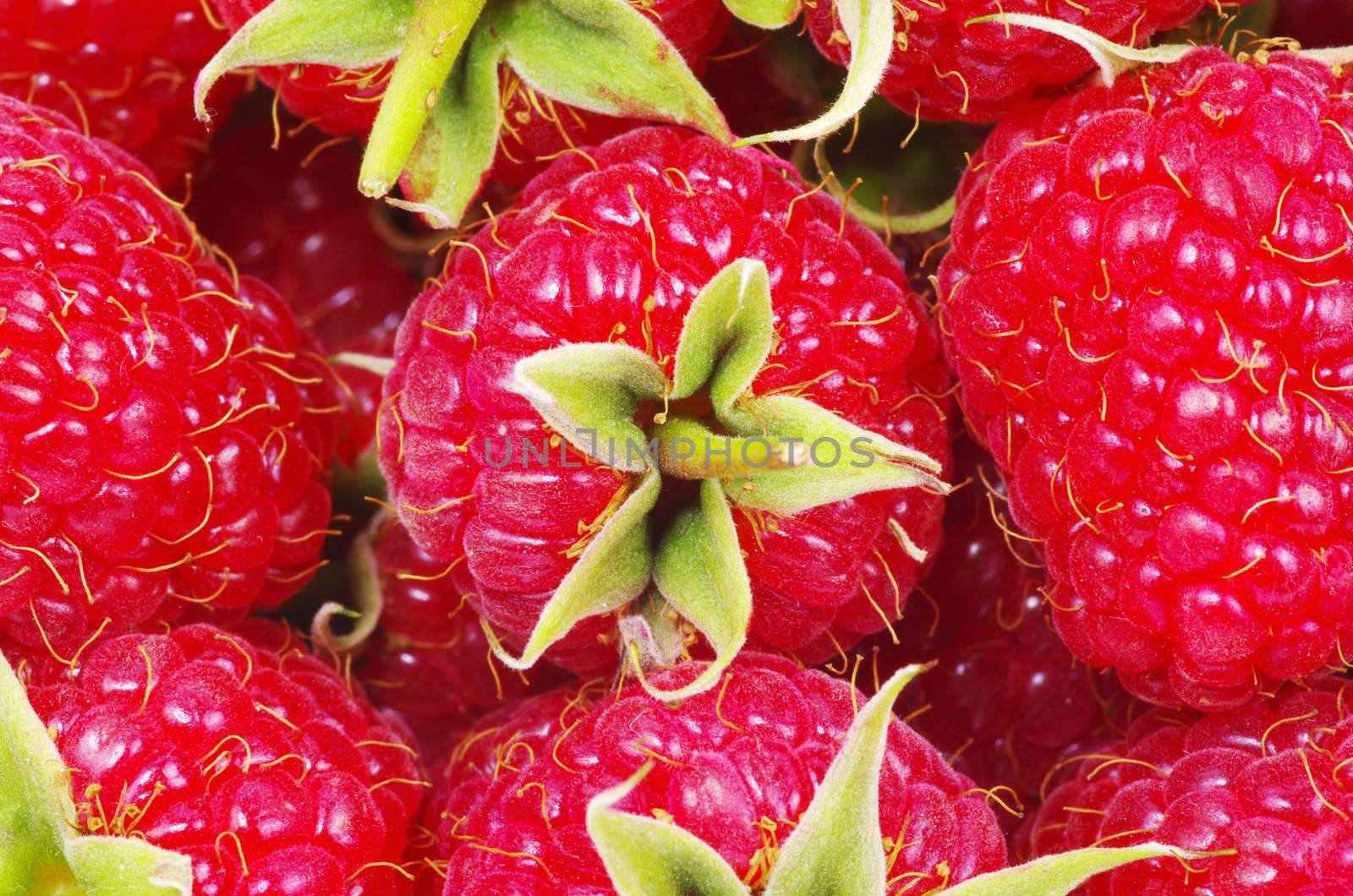 sweet fresh raspberry close up