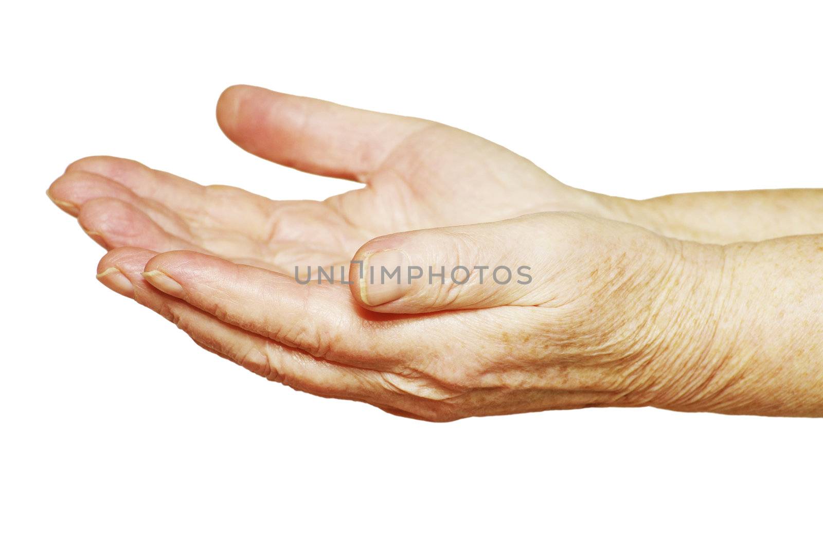  hands begging alms on a white background