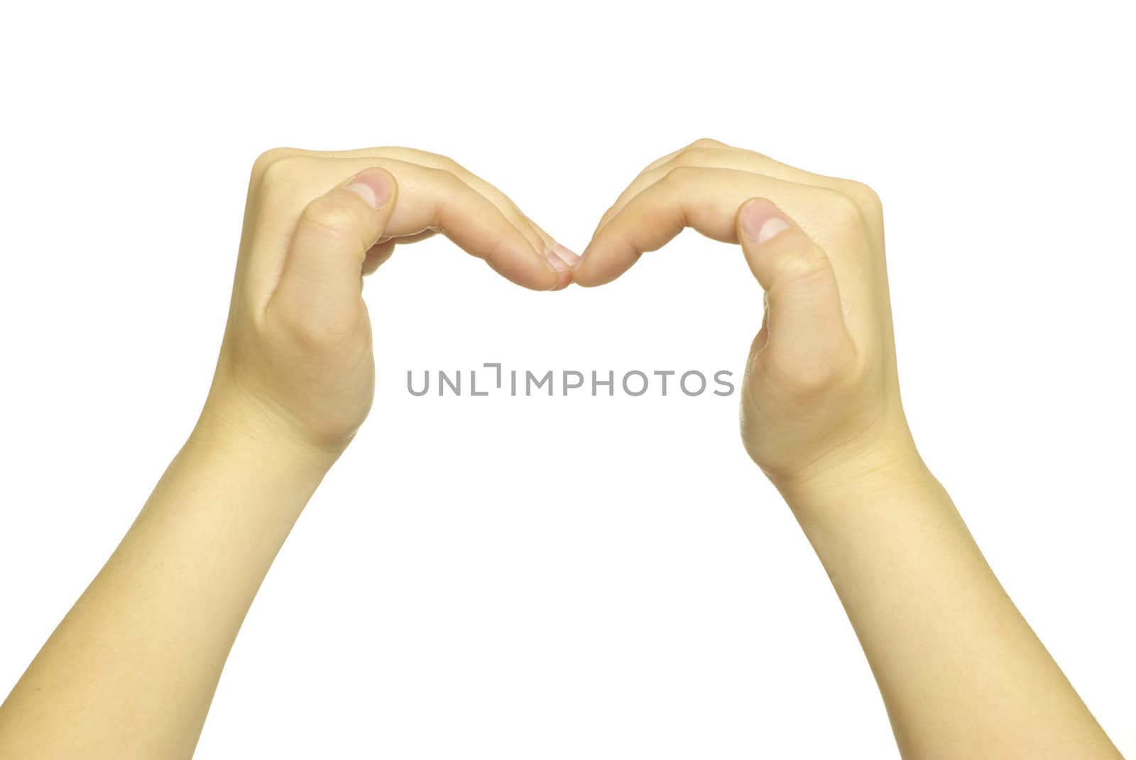 hands isolated on a white background