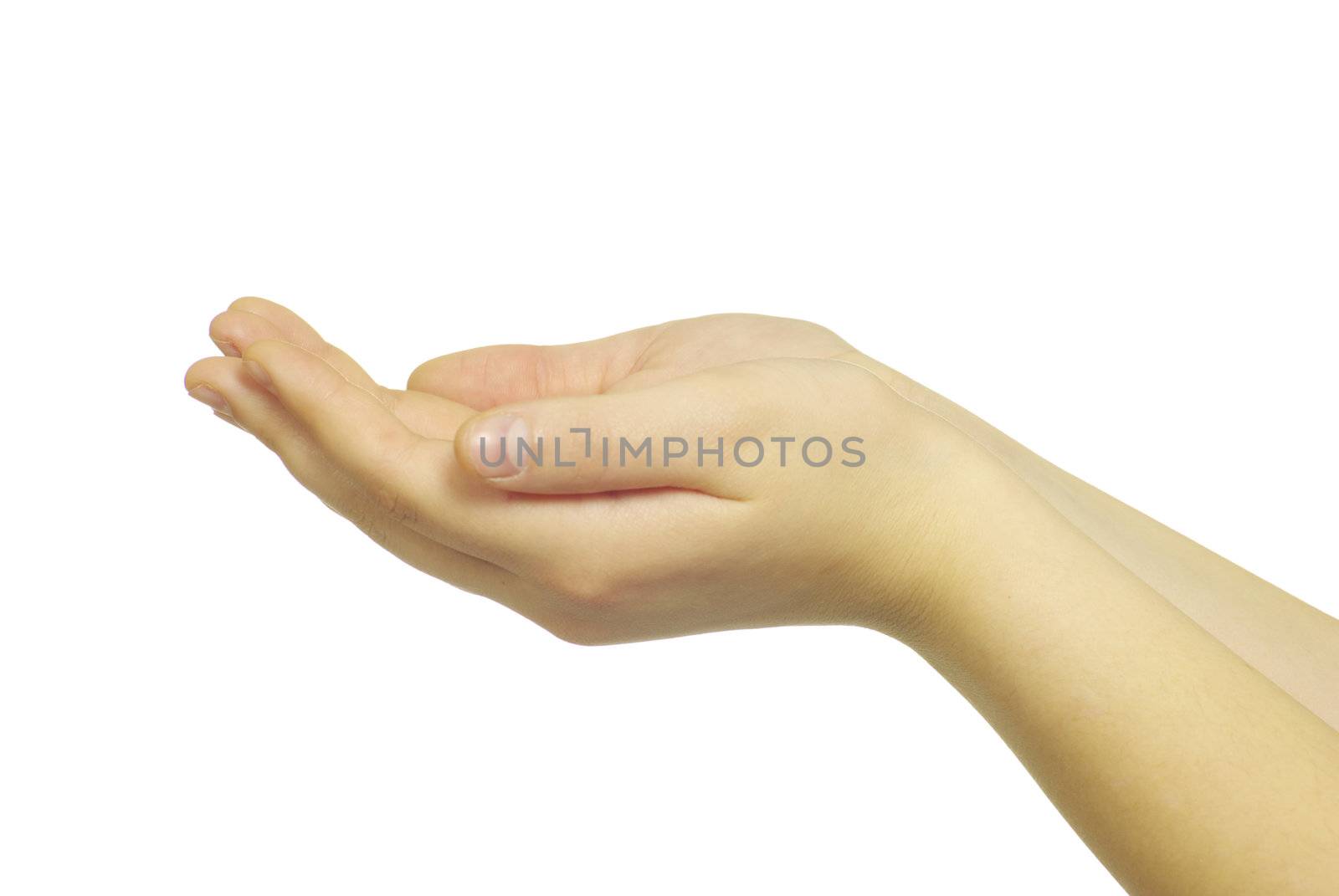 Empty woman hands isolated on white background
