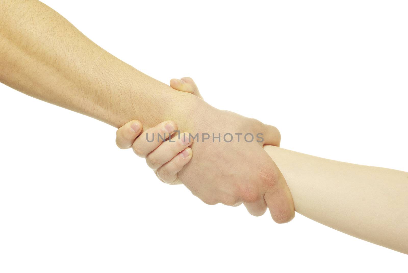 hand in a hand isolated on white