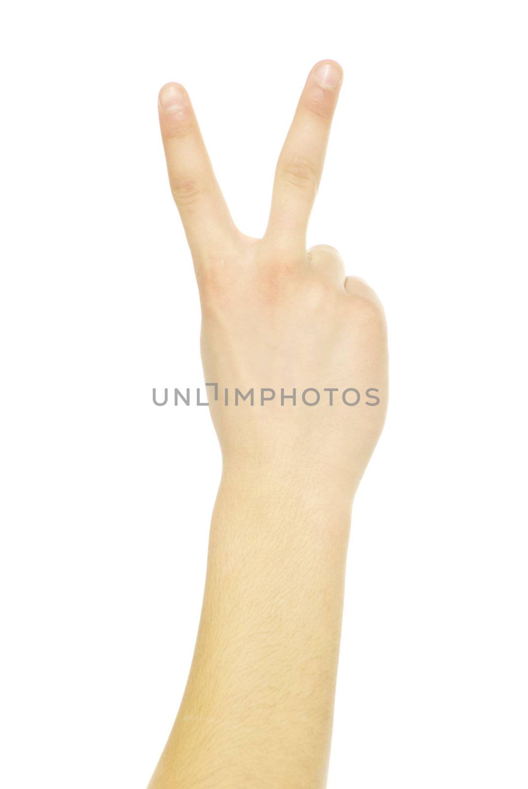 hand gestures isolated on a white 