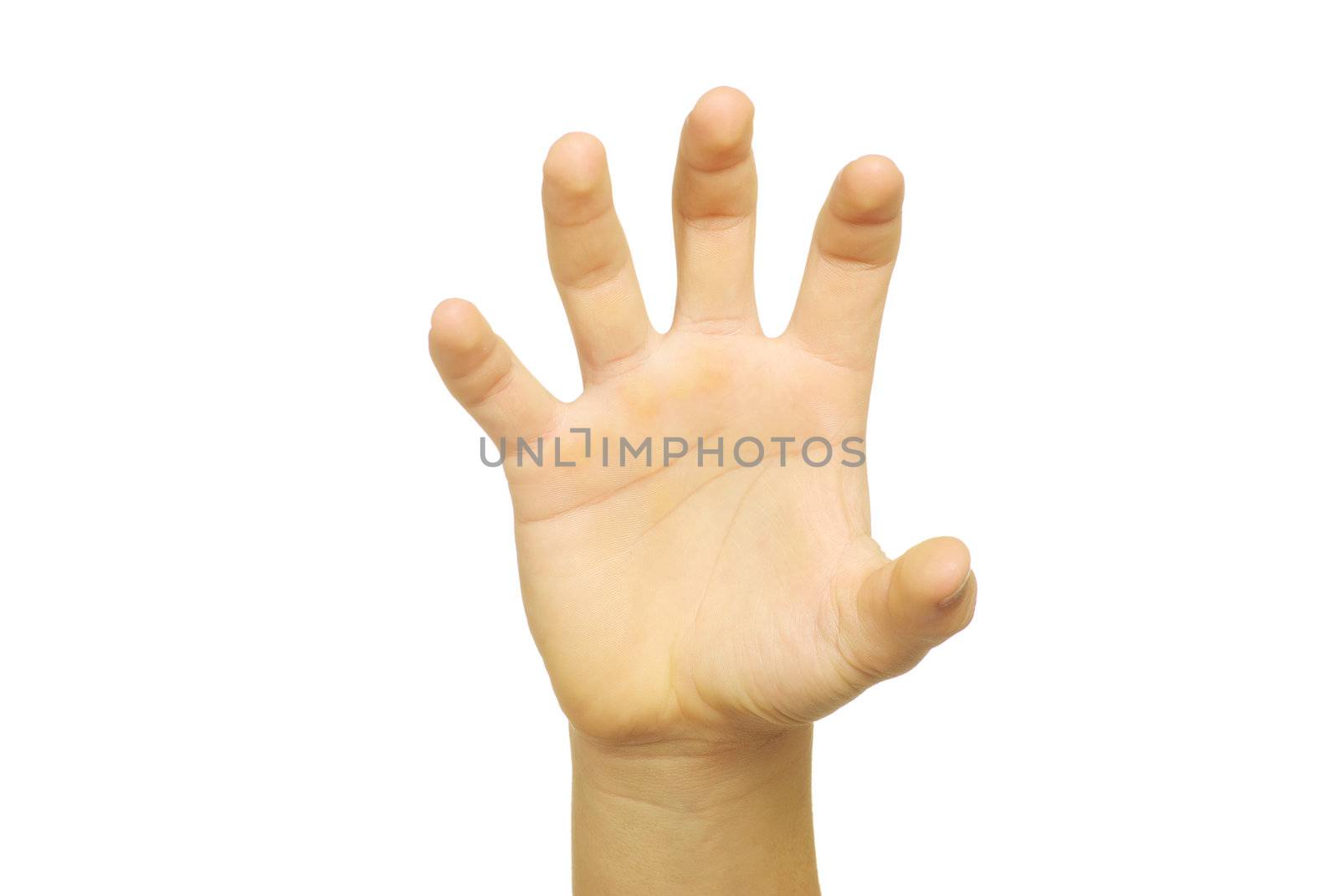hand isolated on a white background