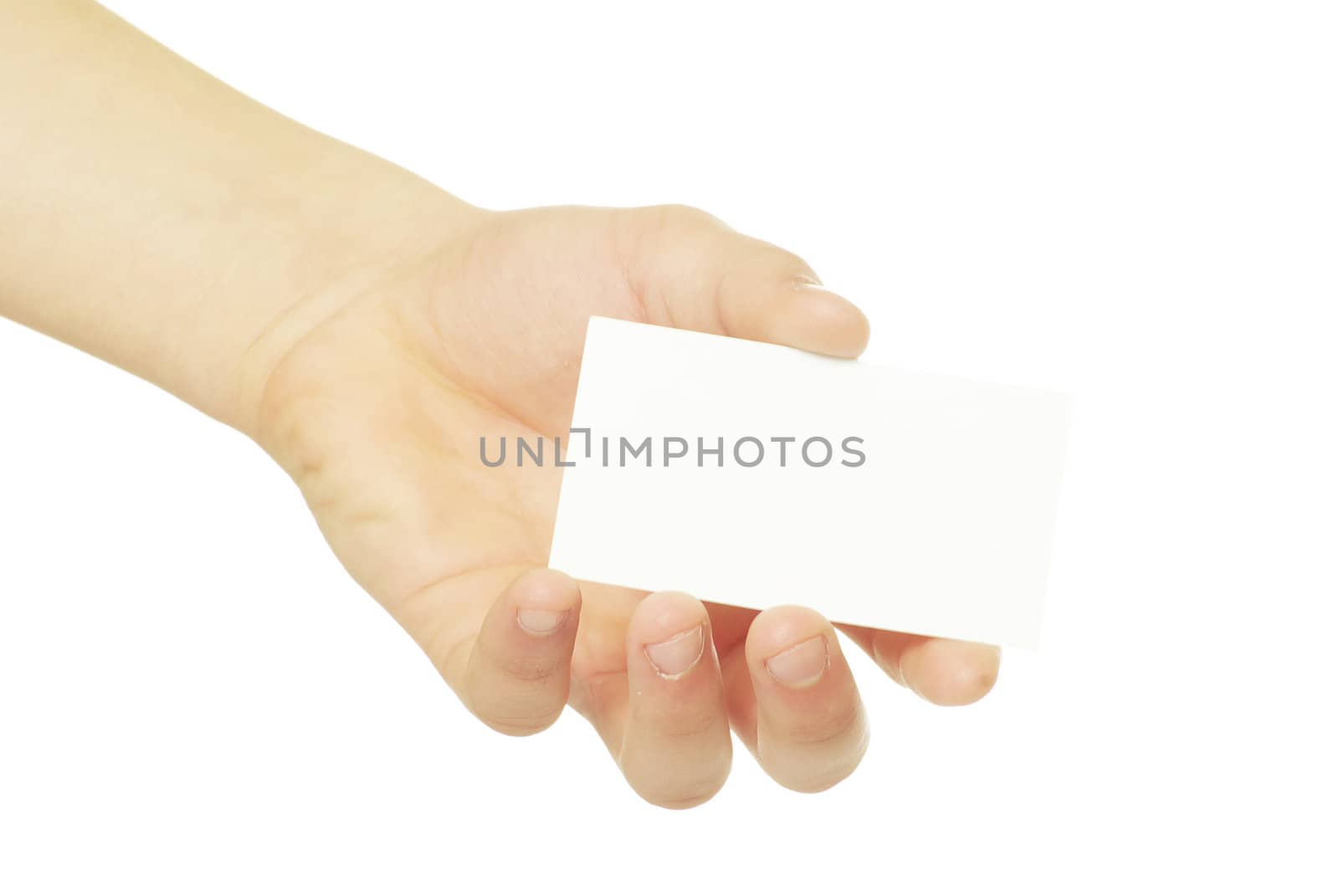 card blank in a hand isolated on white