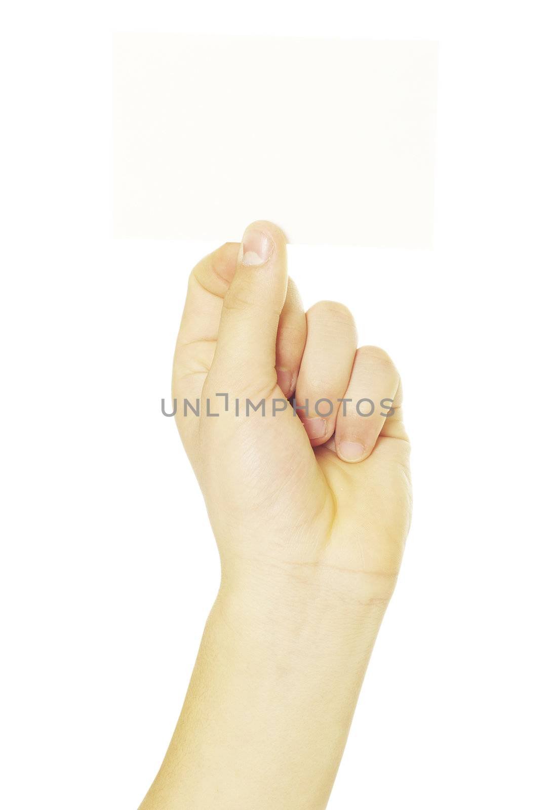 card blank in a hand isolated on white